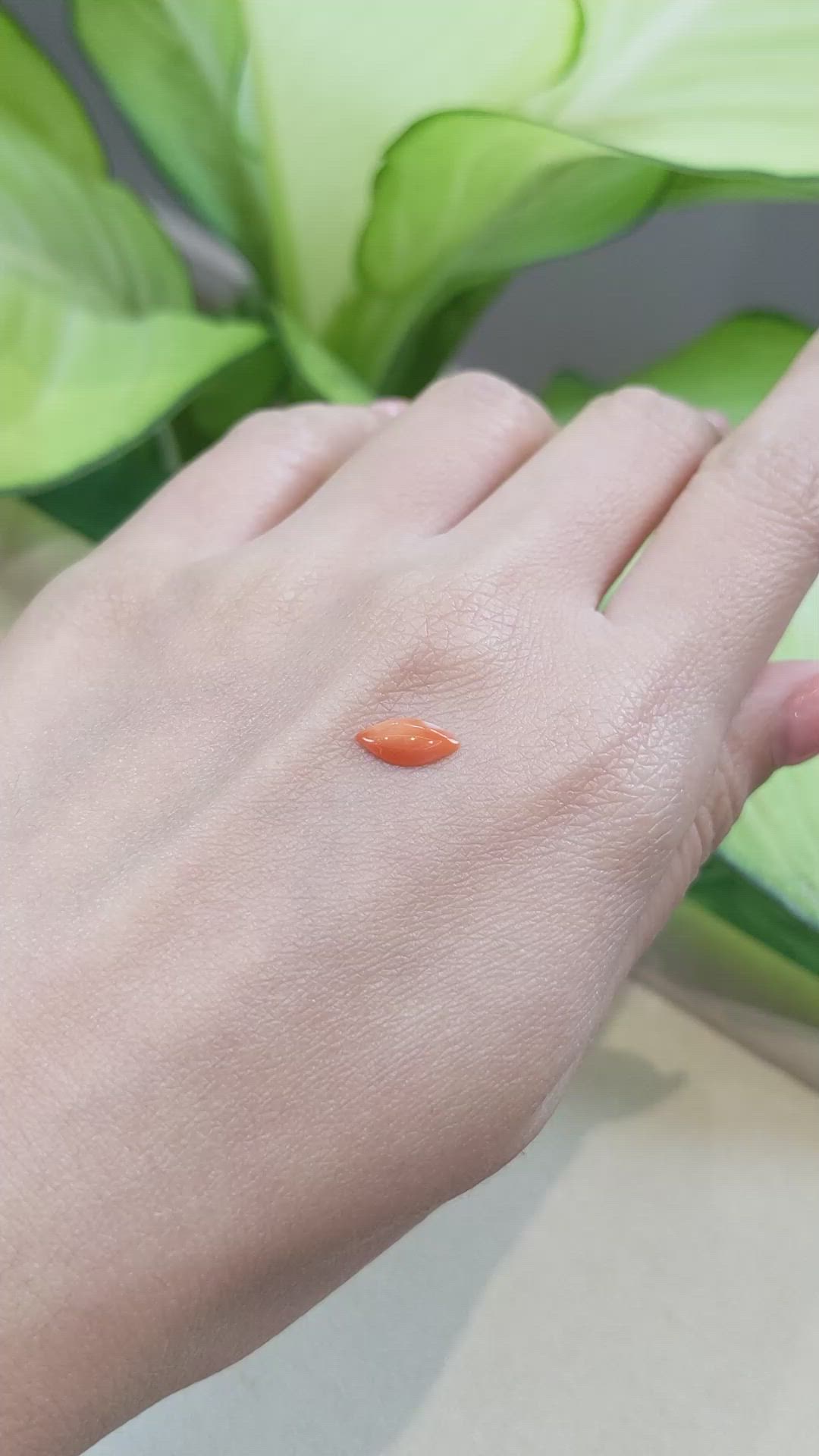 0.45 Ct. Cabochon Coral from Italy Size Video