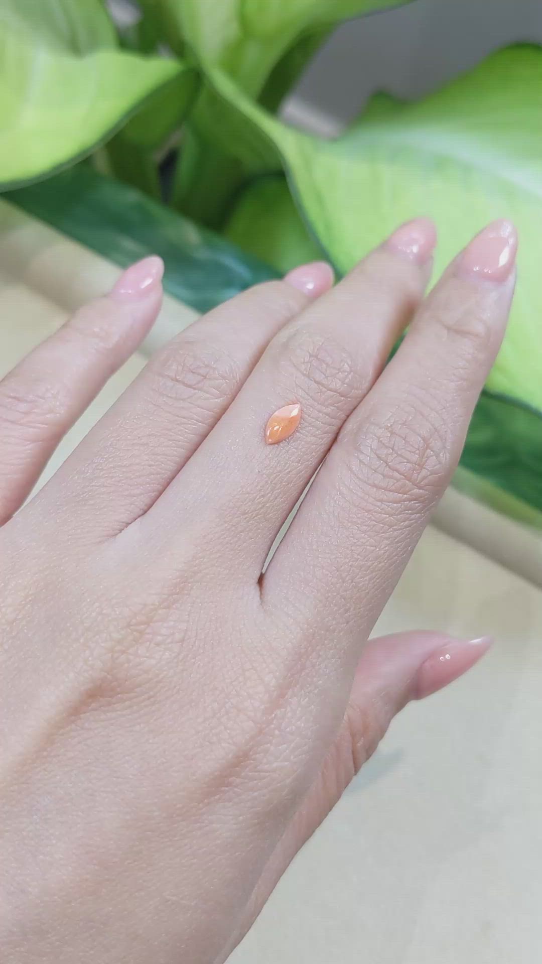 0.23 Ct. Cabochon Coral from Italy Size Video