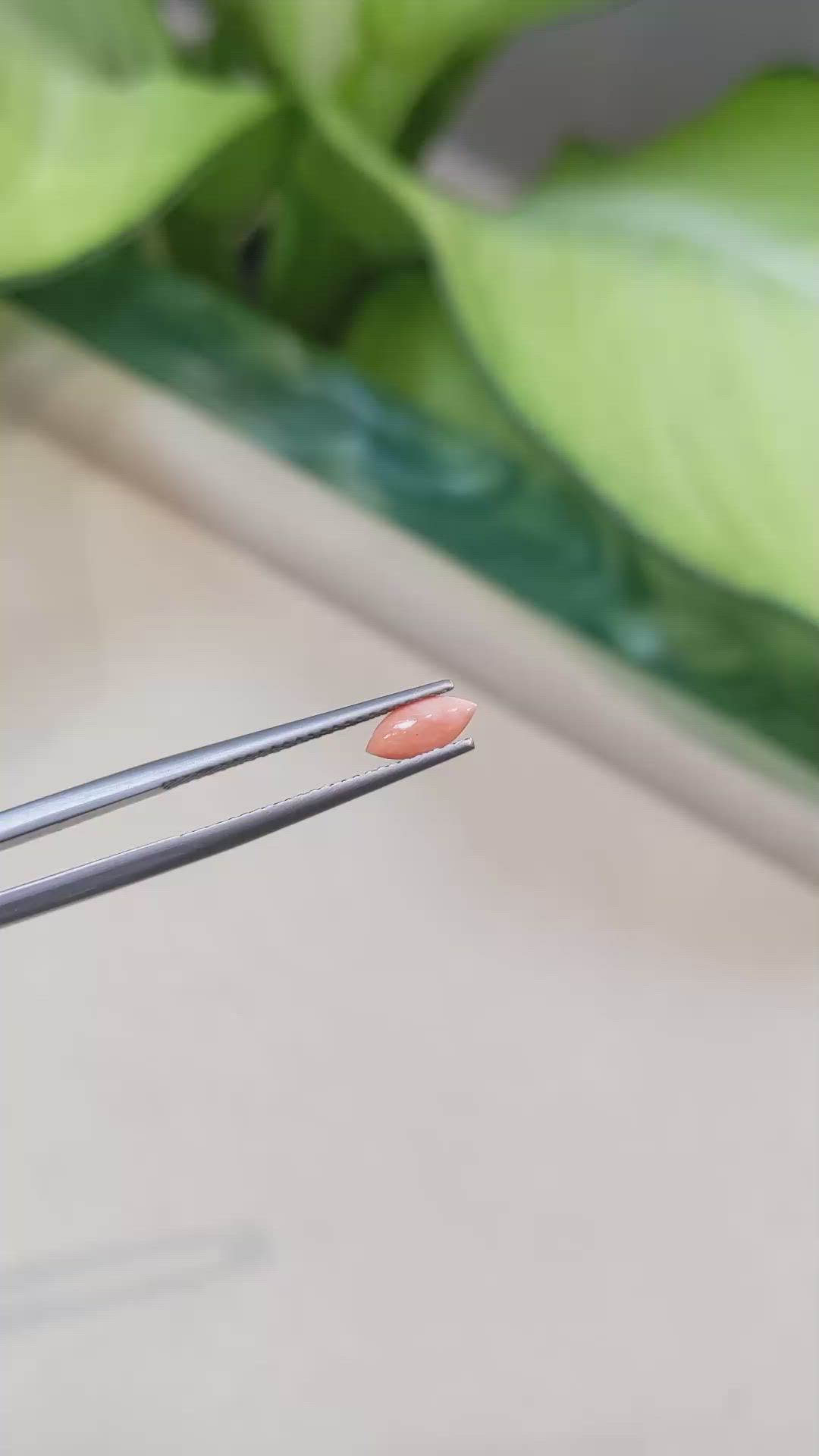 0.23 Ct. Cabochon Coral from Italy Size Video