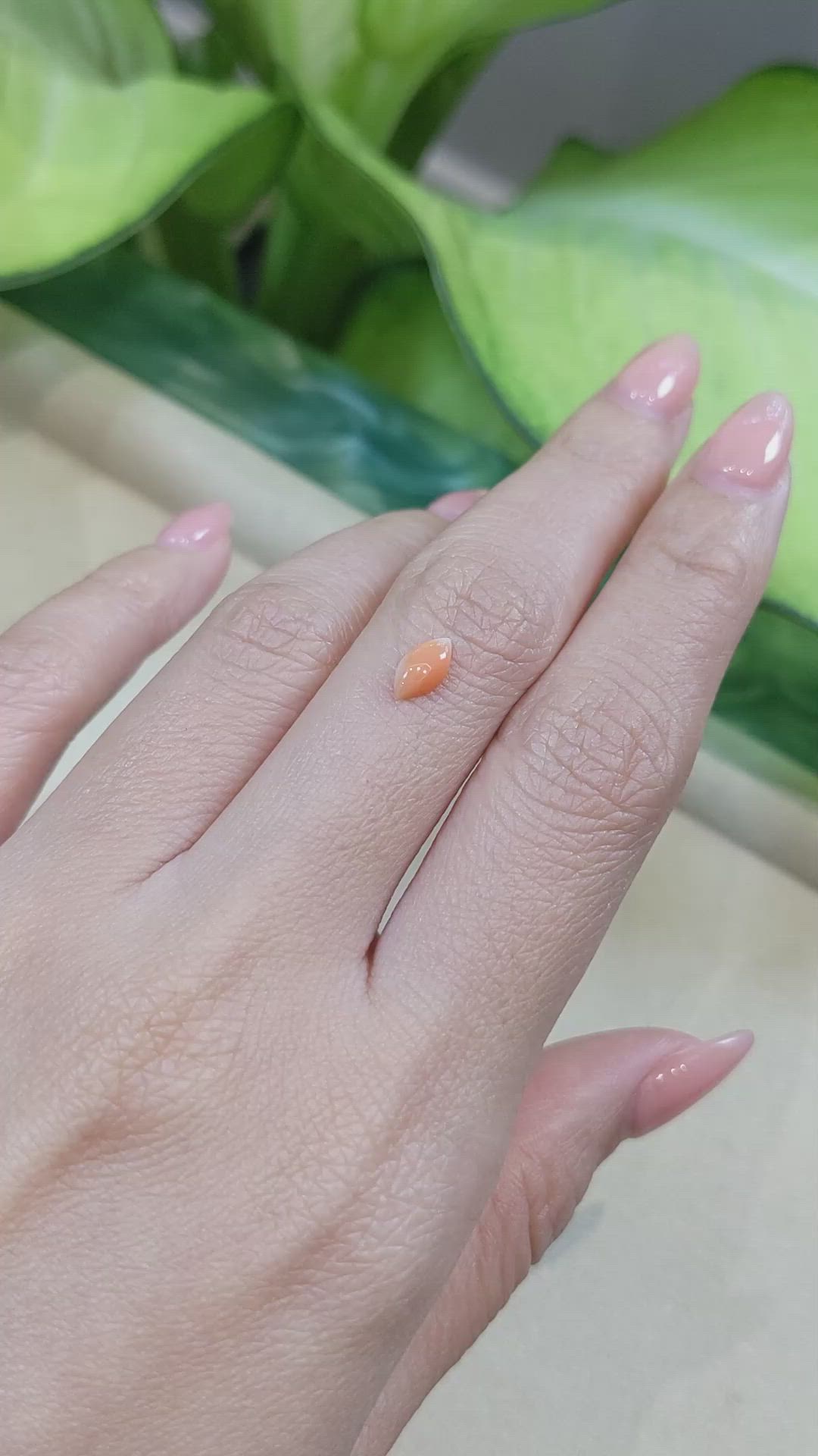 0.38 Ct. Cabochon Coral from Italy Size Video