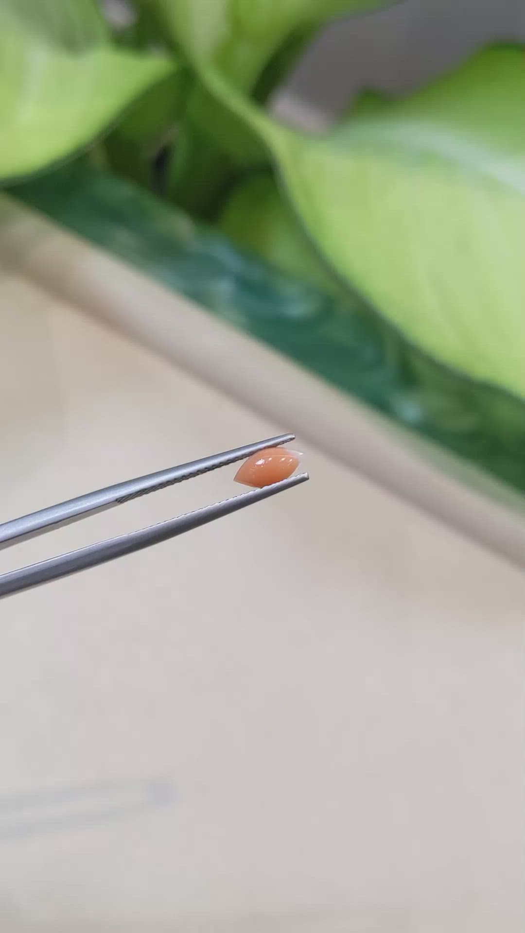 0.38 Ct. Cabochon Coral from Italy Size Video