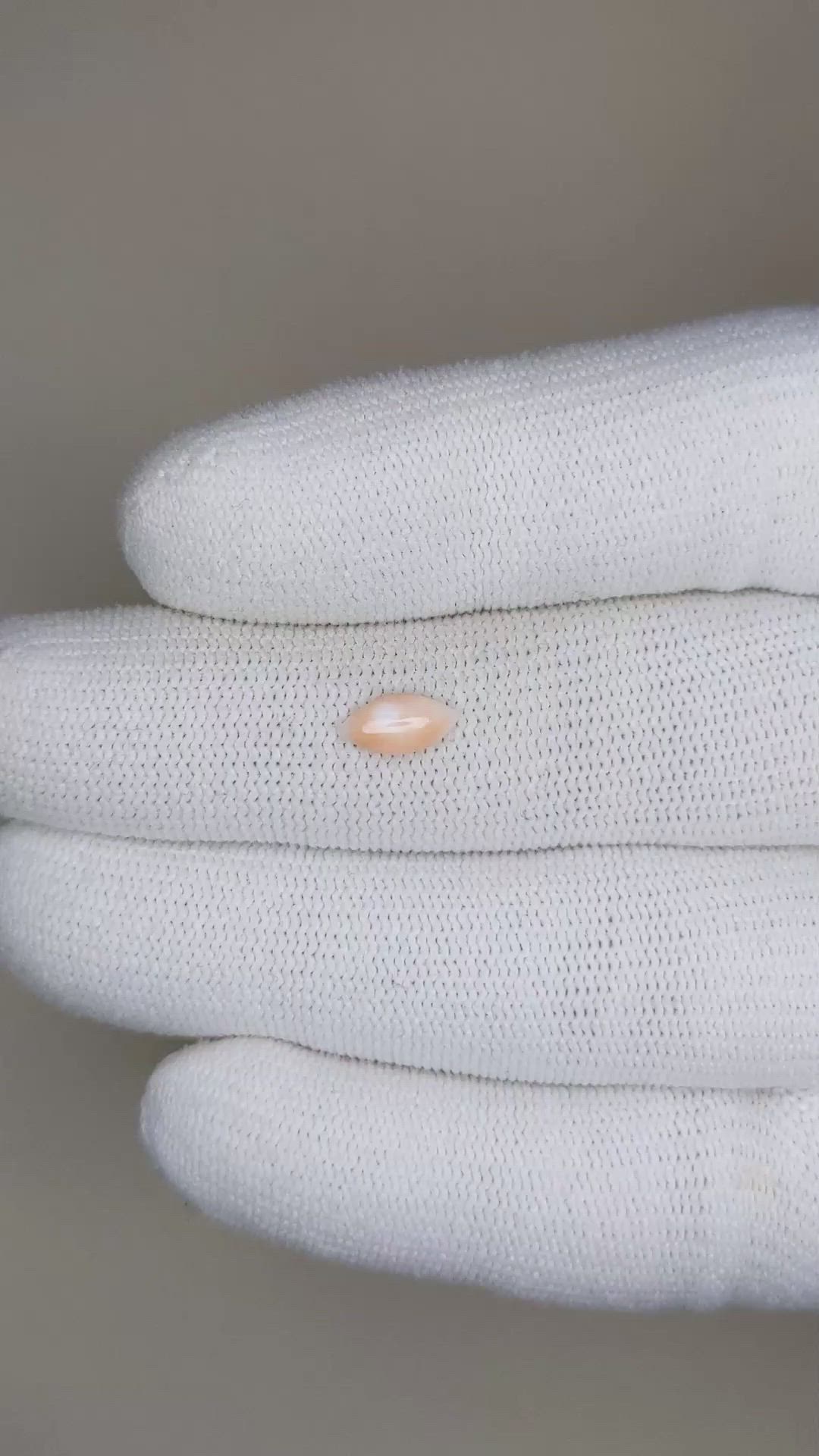 0.34 Ct. Cabochon Coral from Italy Size Video