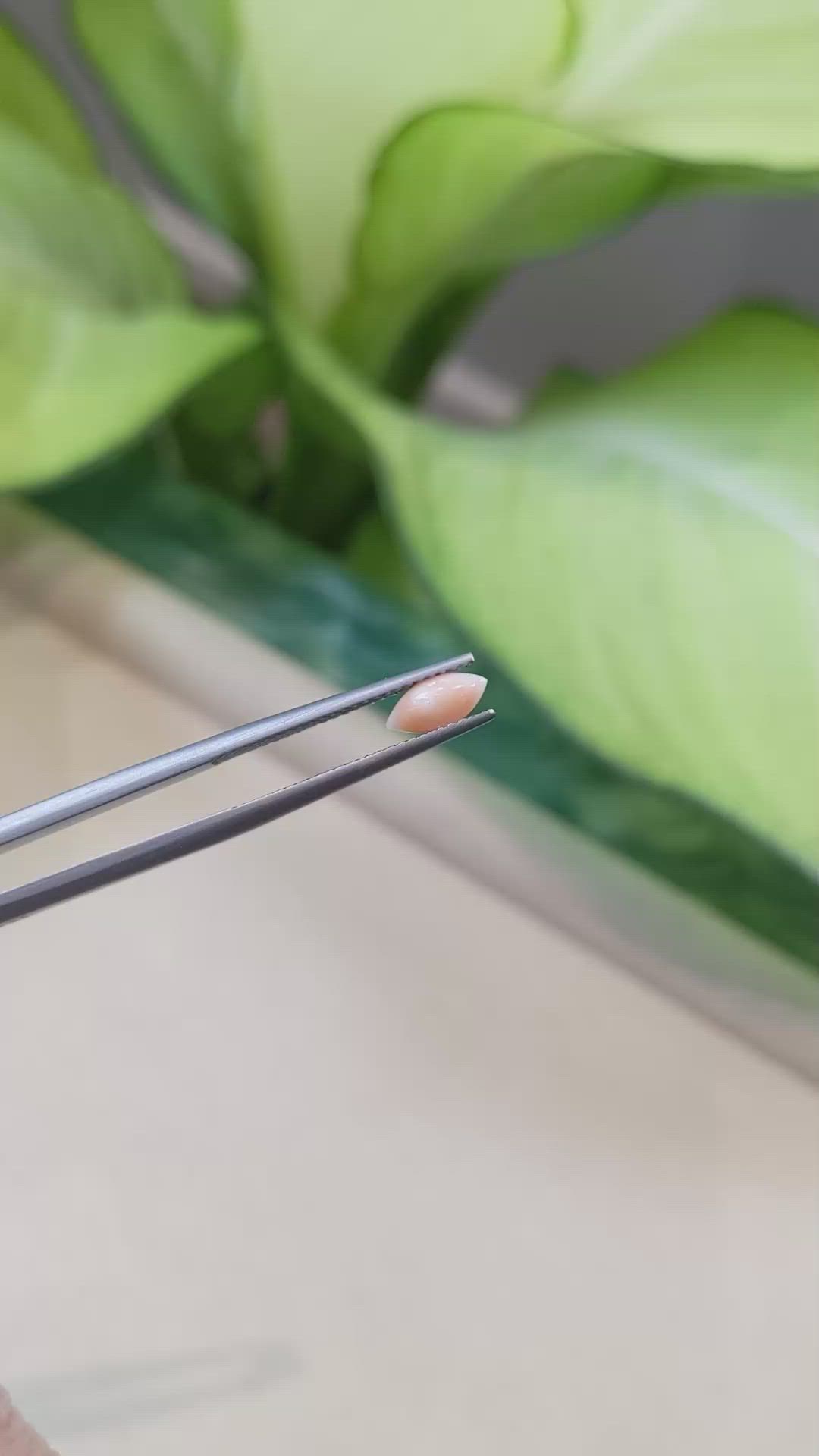 0.34 Ct. Cabochon Coral from Italy Size Video