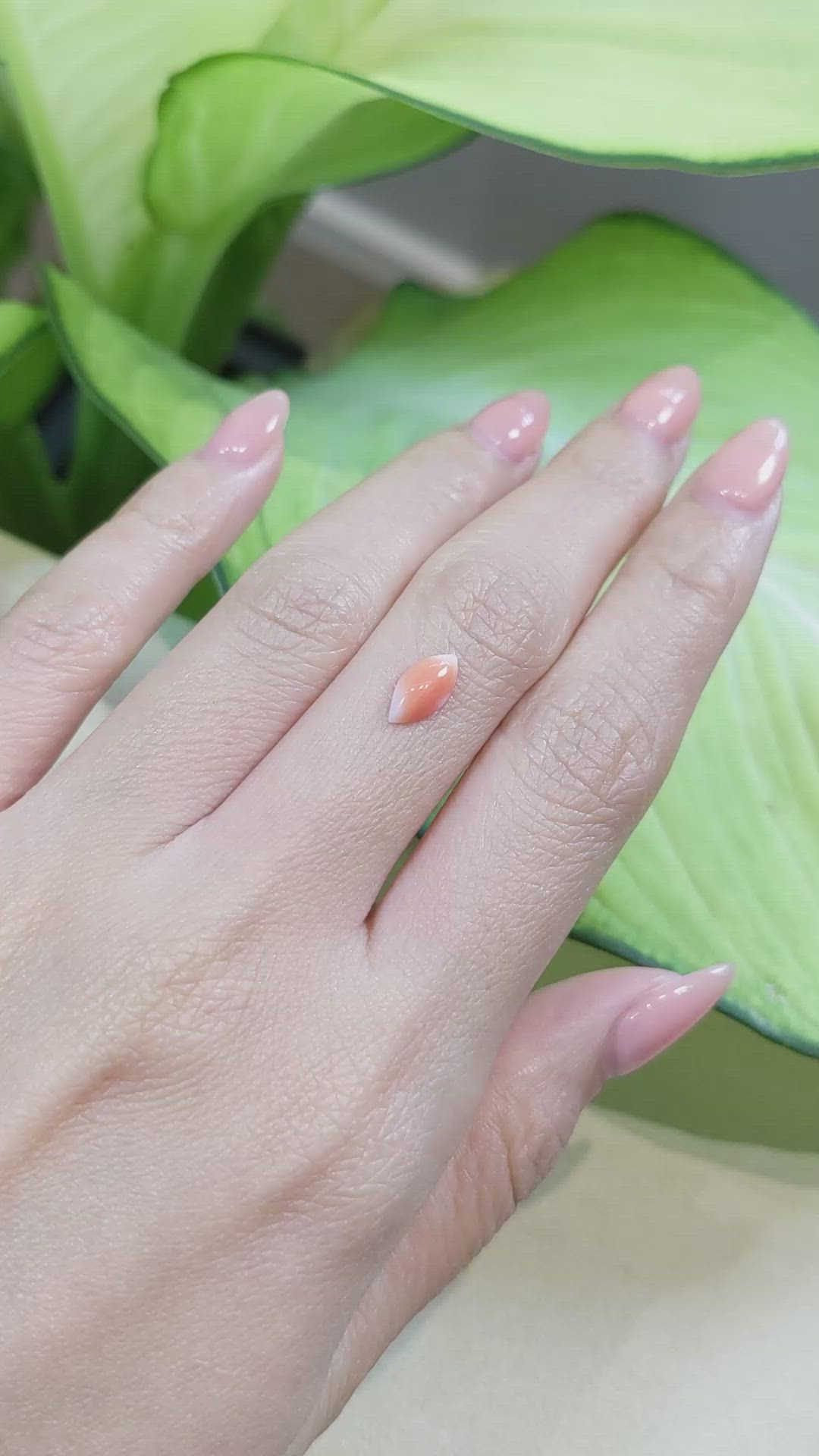 0.73 Ct. Cabochon Coral from Italy Size Video