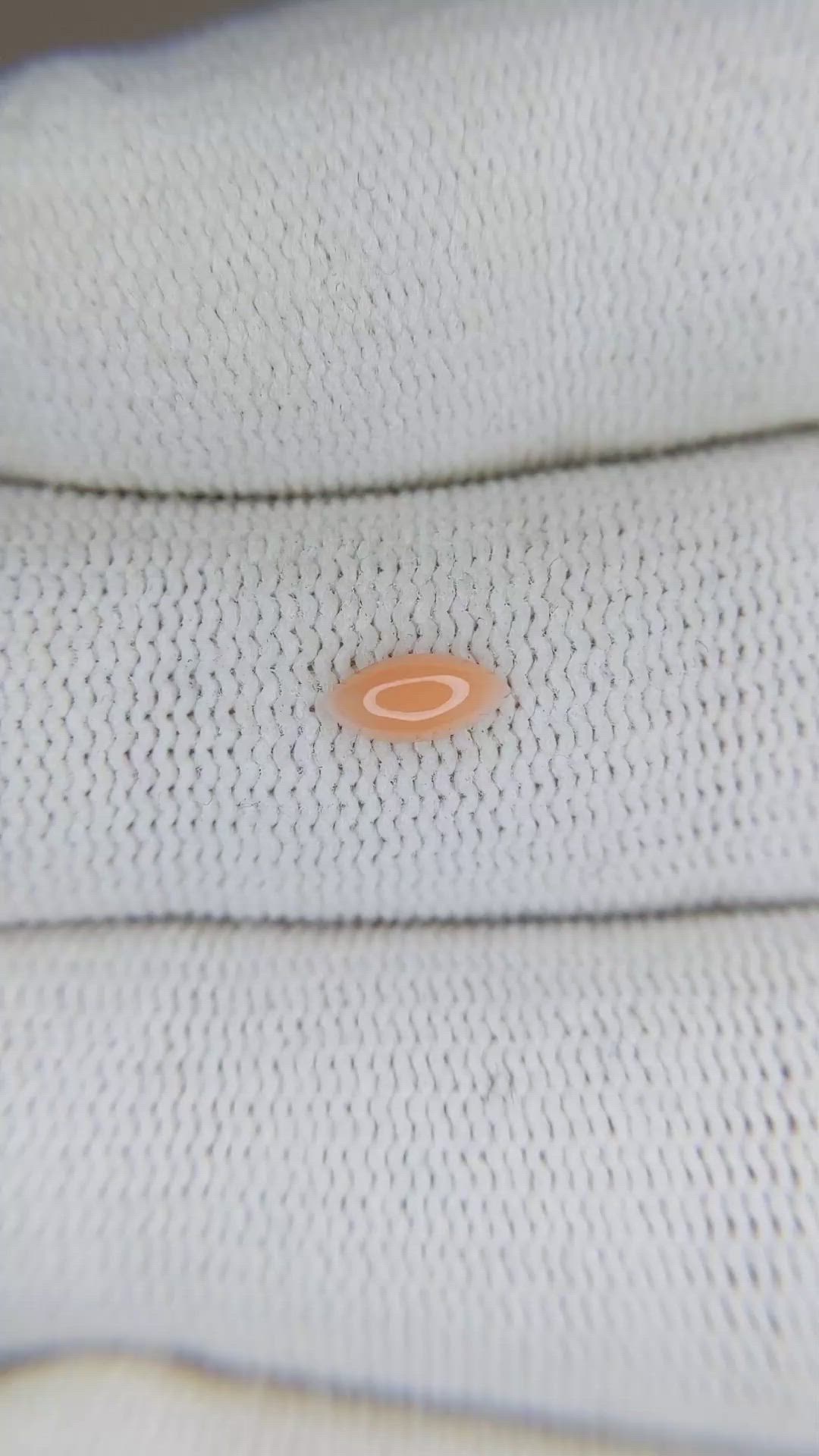 0.24 Ct. Cabochon Coral from Italy Size Video