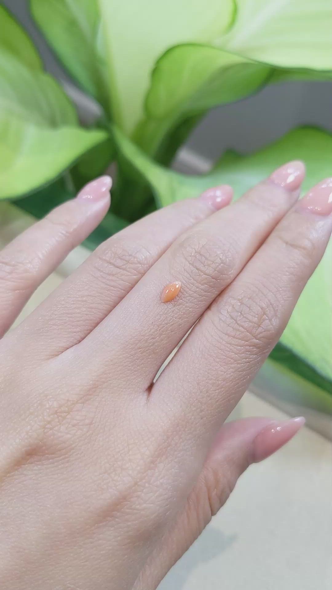 0.24 Ct. Cabochon Coral from Italy Size Video