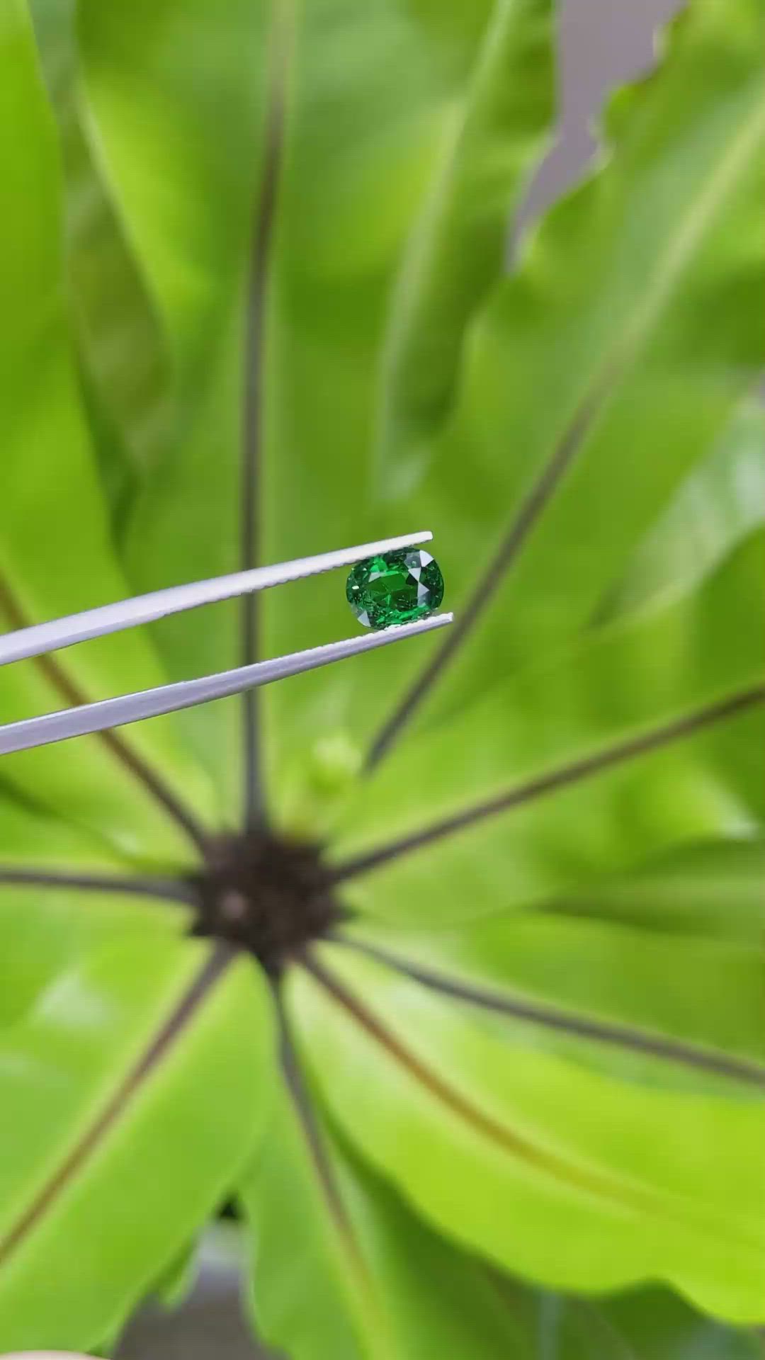 1.22 Ct. Tsavorite Garnet from Tanzania Size Video