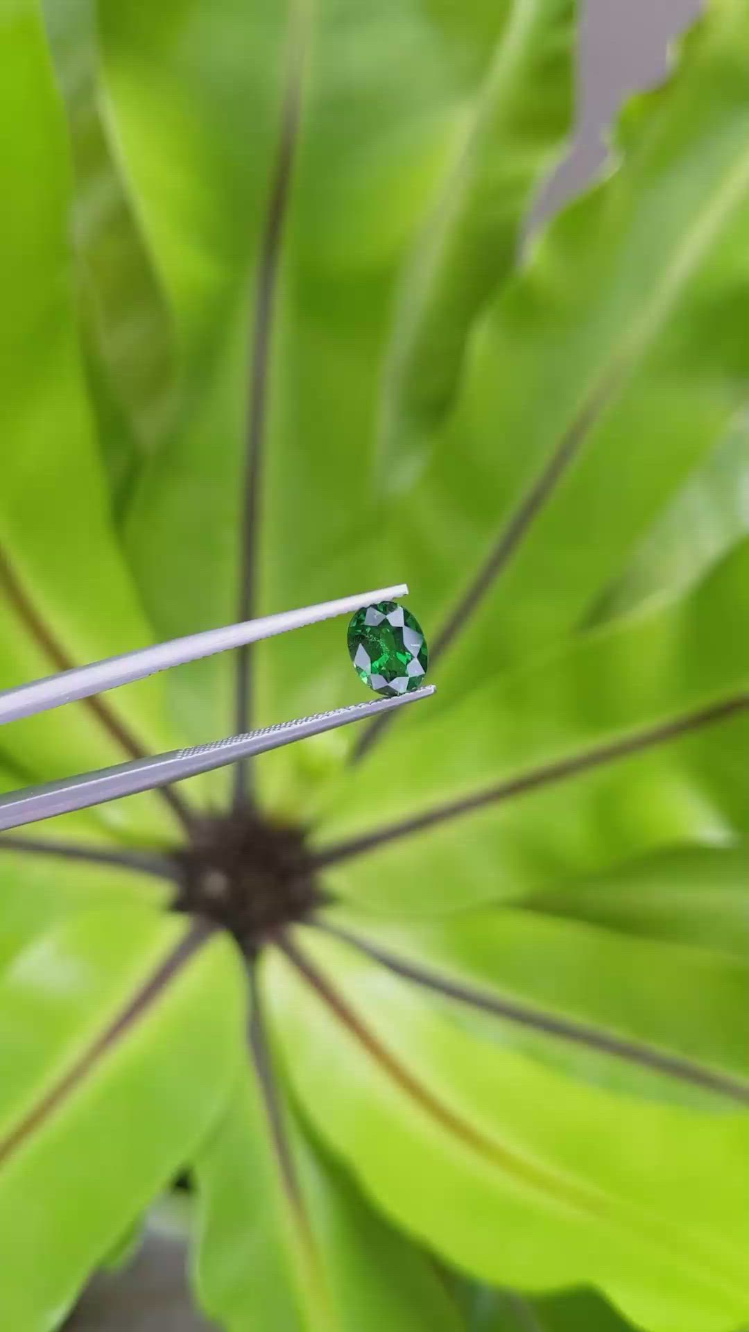 1.30 Ct. Tsavorite Garnet from Tanzania Size Video