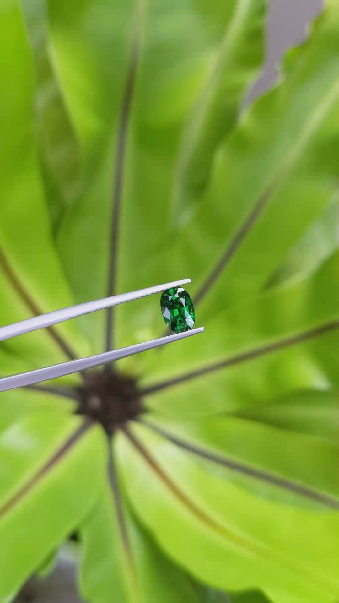 1.20 Ct. Tsavorite Garnet from Tanzania Size Video