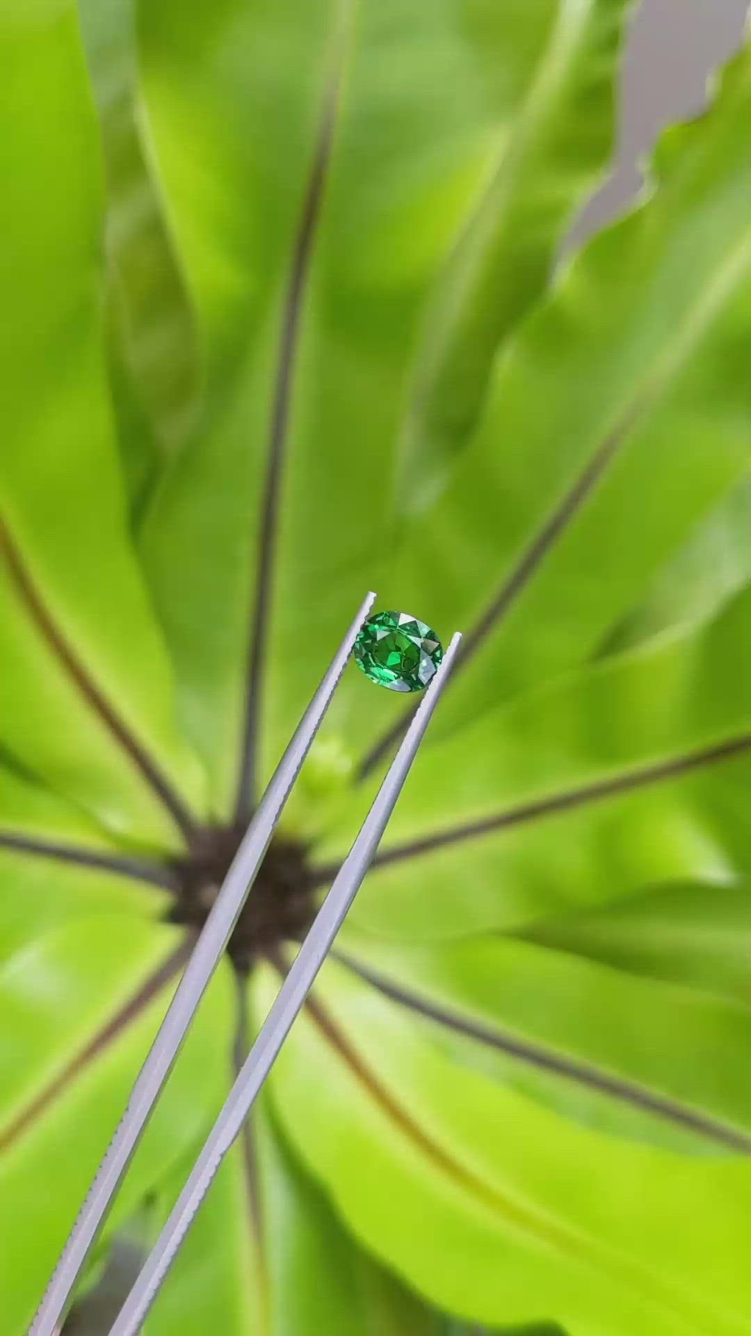 1.27 Ct. Tsavorite Garnet from Tanzania Size Video