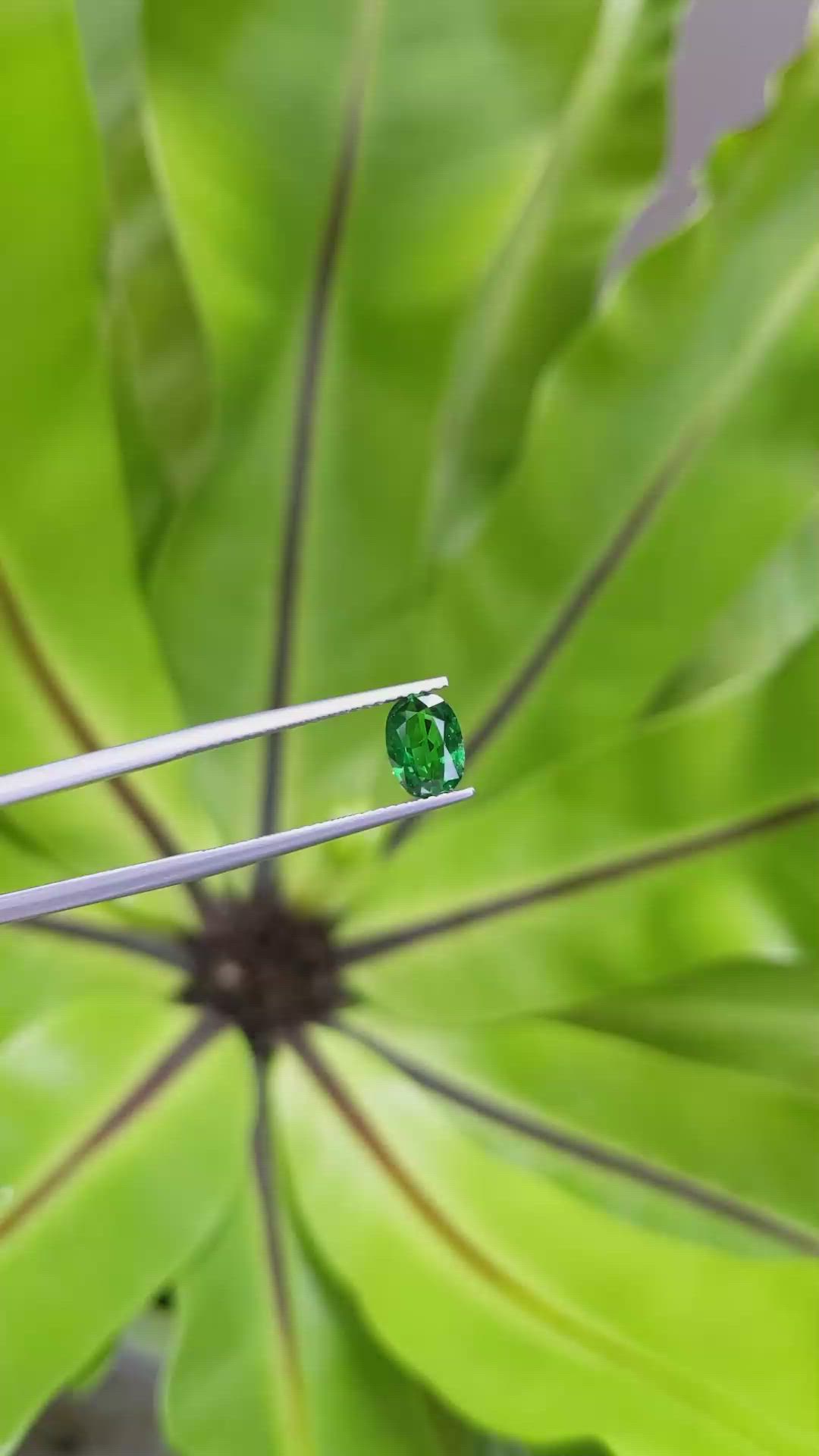 1.15 Ct. Tsavorite Garnet from Tanzania Size Video