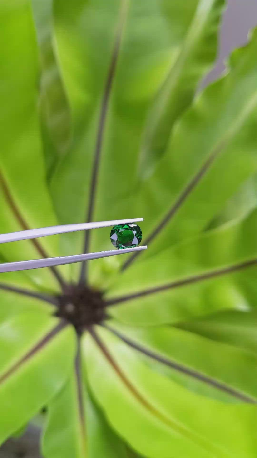 1.22 Ct. Tsavorite Garnet from Tanzania Size Video