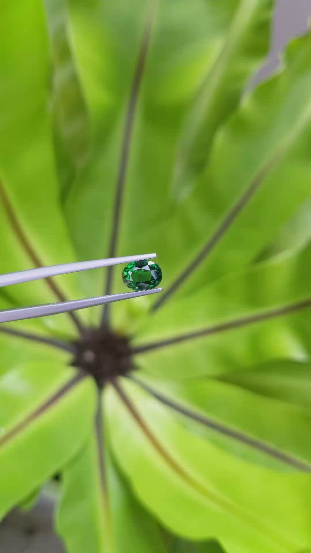 1.27 Ct. Tsavorite Garnet from Tanzania Size Video