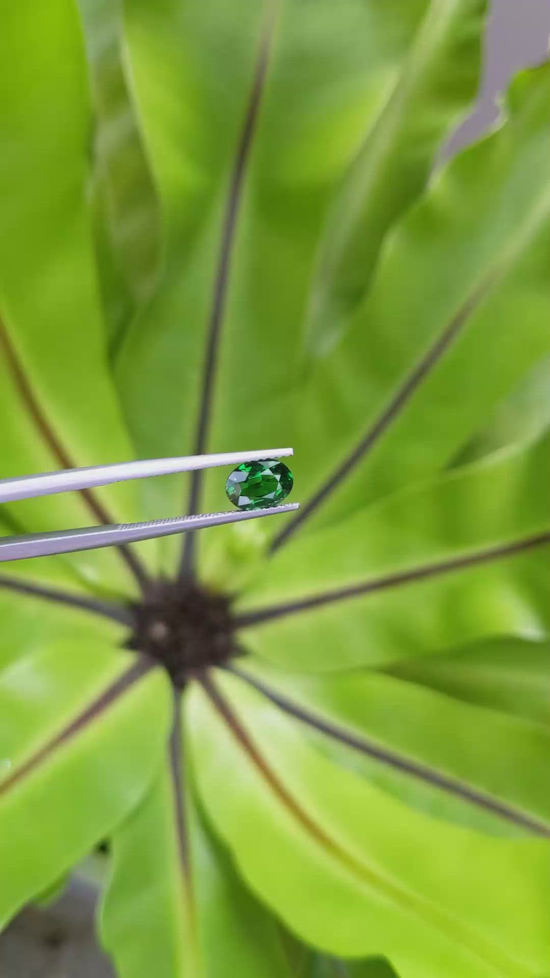 1.35 Ct. Tsavorite Garnet from Tanzania Size Video