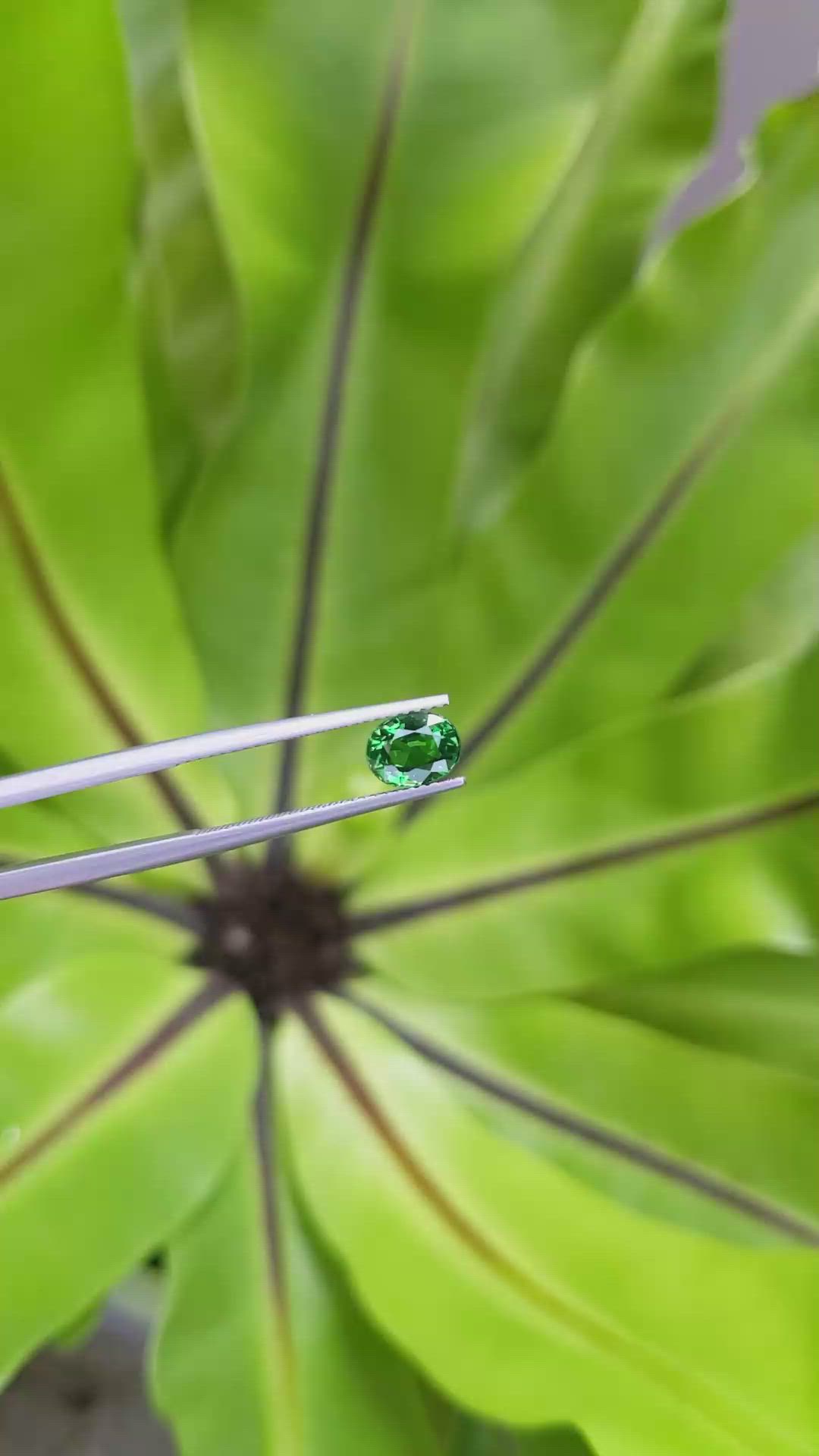 1.42 Ct. Tsavorite Garnet from Tanzania Size Video