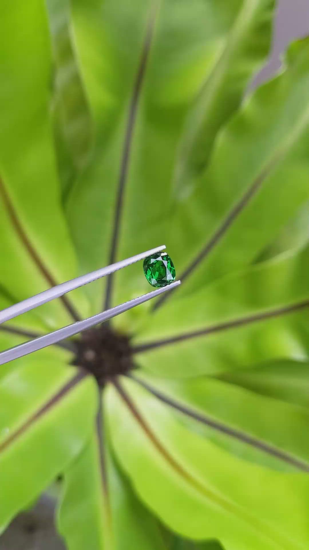 1.12 Ct. Tsavorite Garnet from Tanzania Size Video