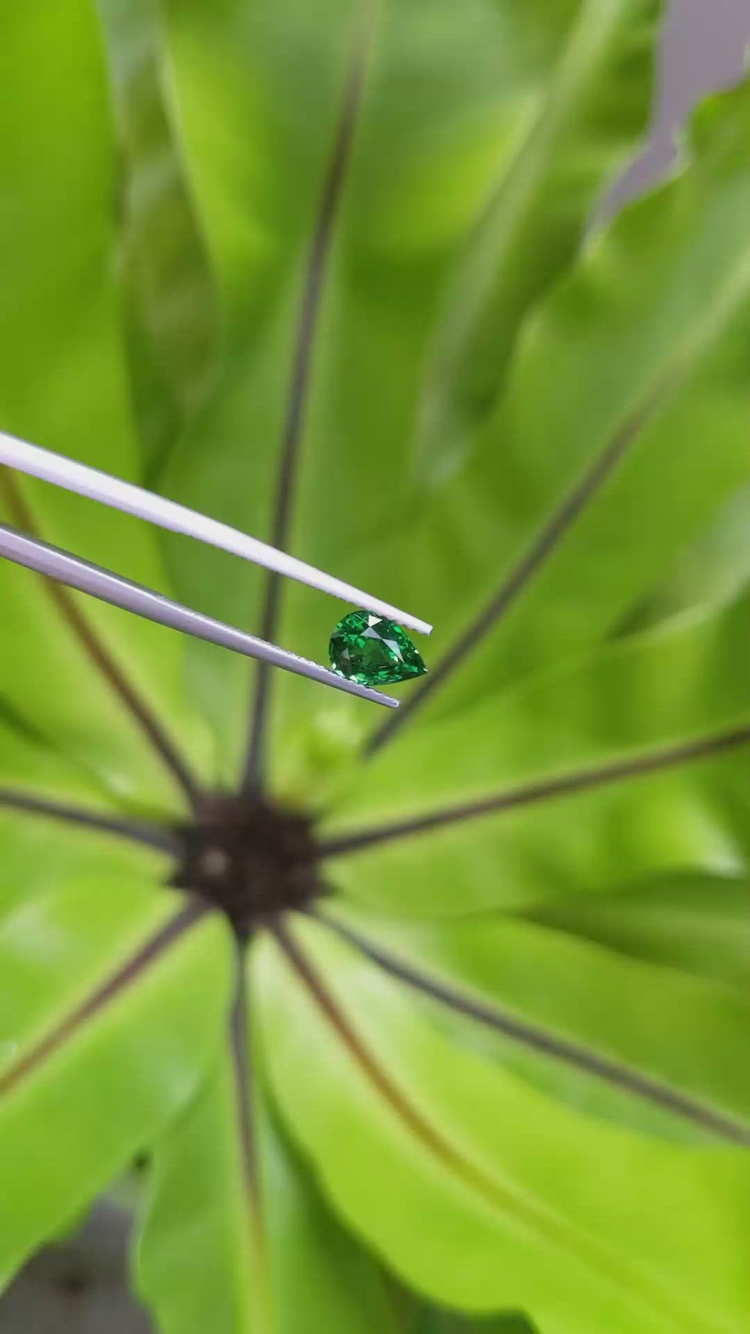 1.33 Ct. Tsavorite Garnet from Tanzania Size Video