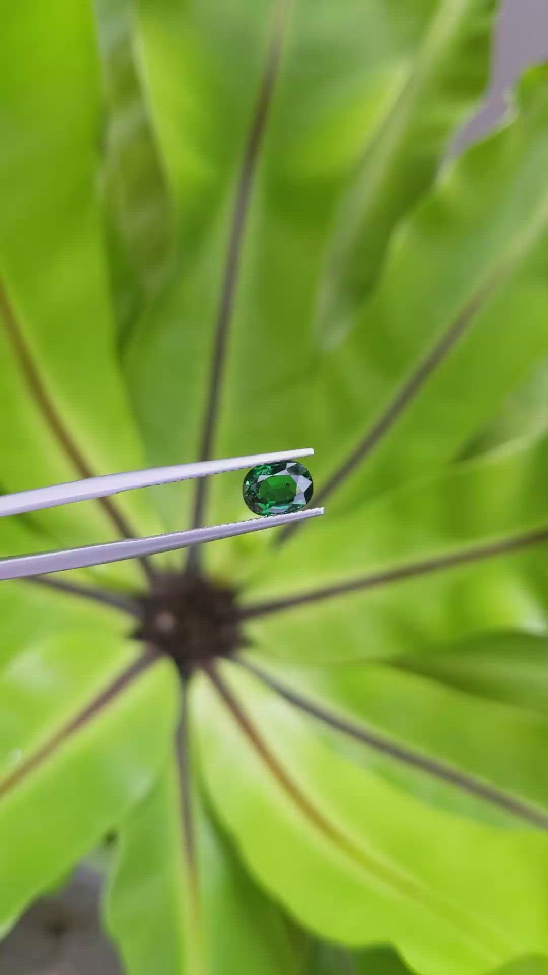 1.27 Ct. Tsavorite Garnet from Tanzania Size Video