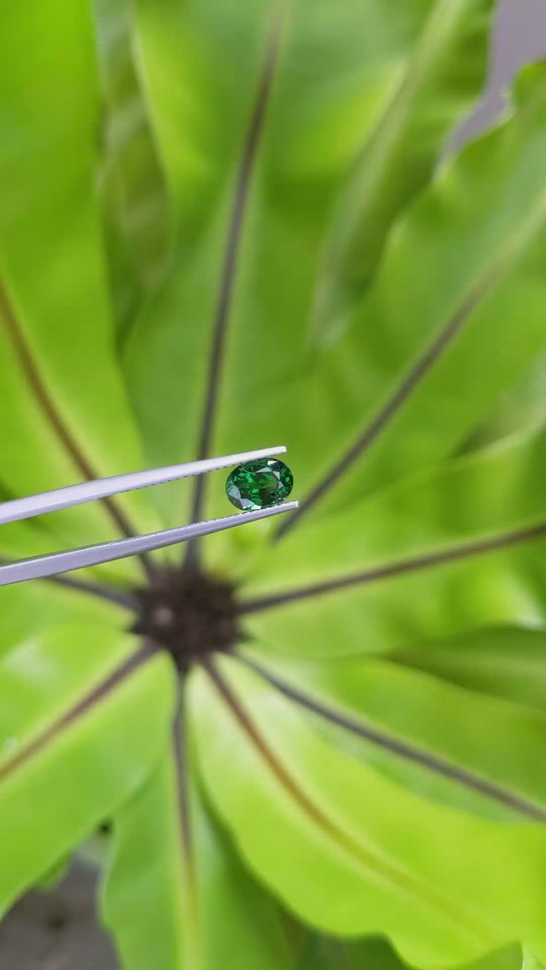 1.25 Ct. Tsavorite Garnet from Tanzania Size Video