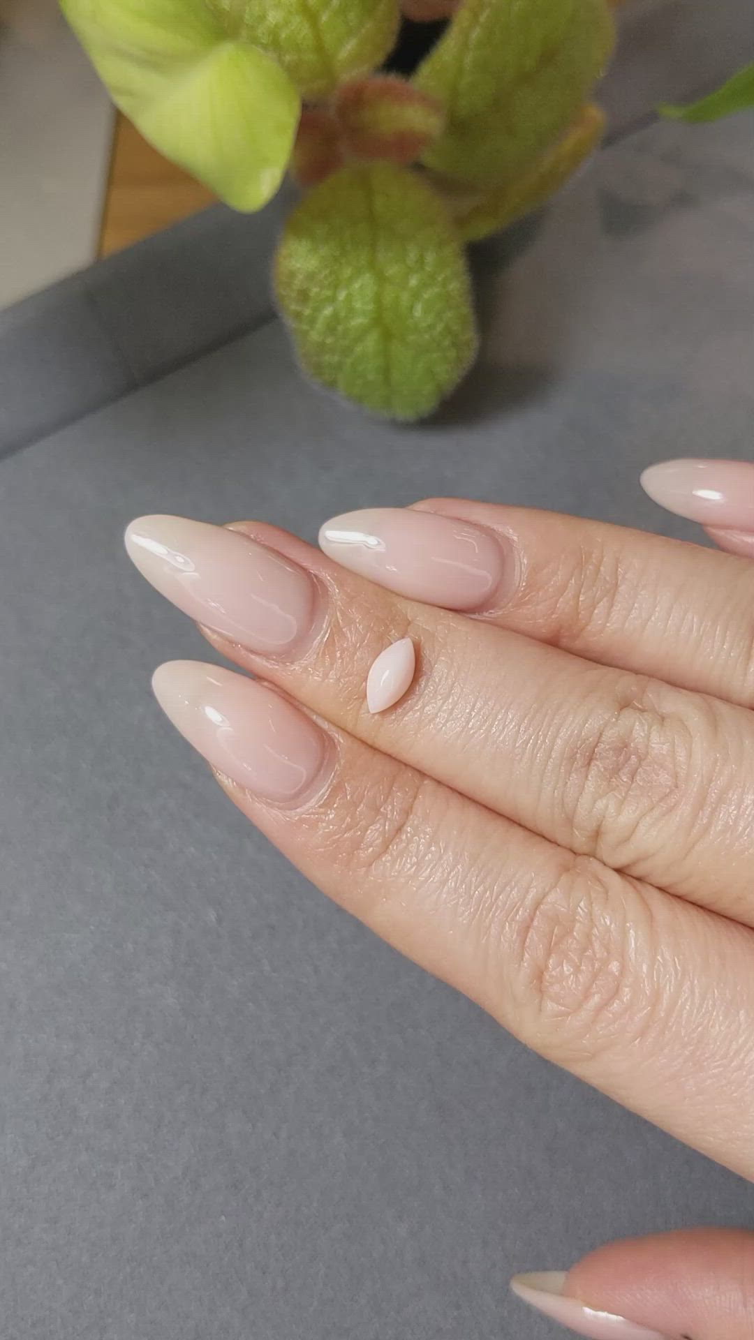 0.57 Ct. Cabochon Coral from Italy Size Video