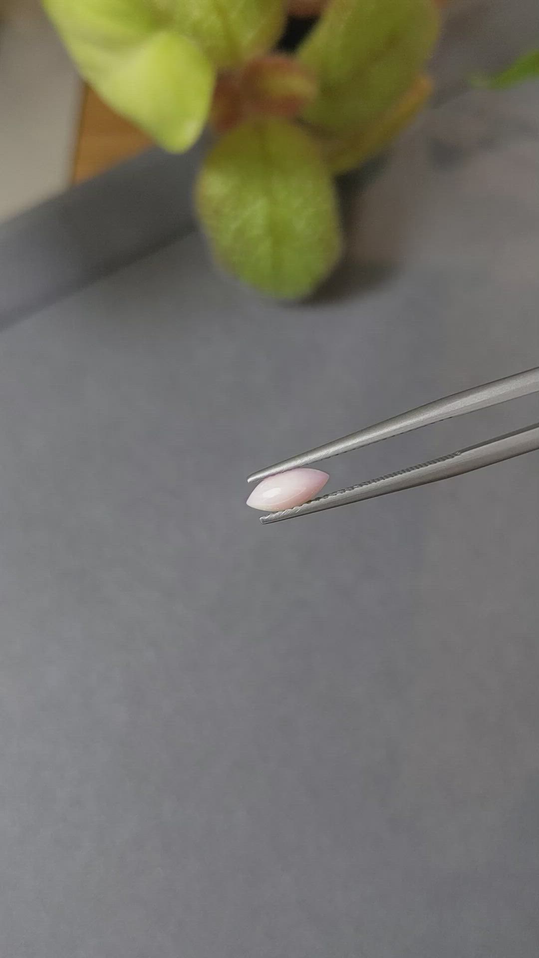 0.43 Ct. Cabochon Coral from Italy Size Video