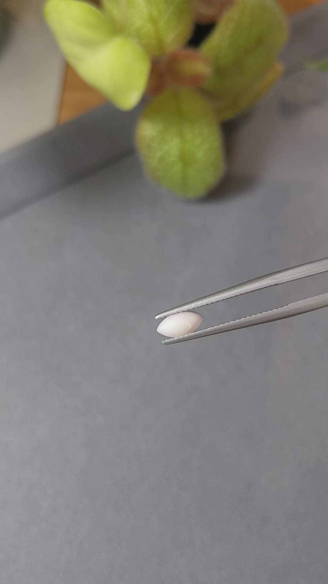 0.35 Ct. Cabochon Coral from Italy Size Video