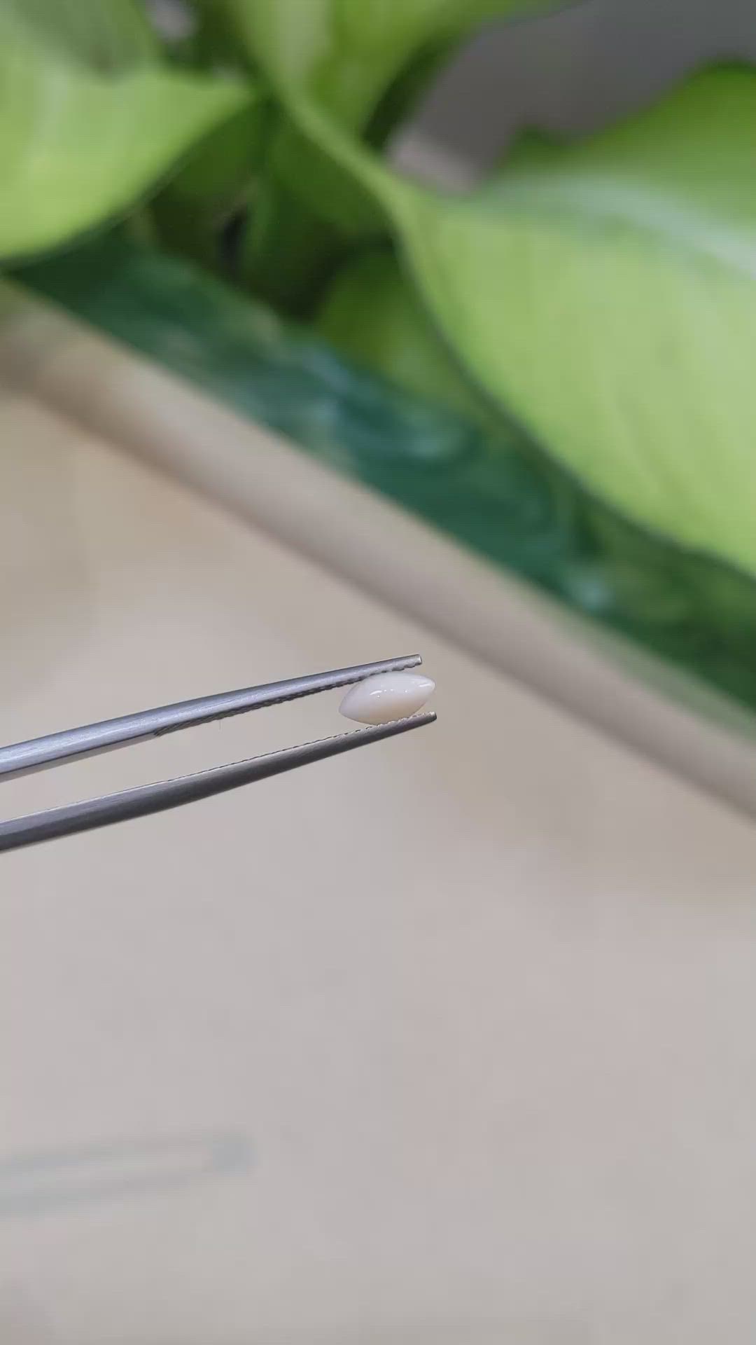 0.41 Ct. Cabochon Coral from Italy Size Video