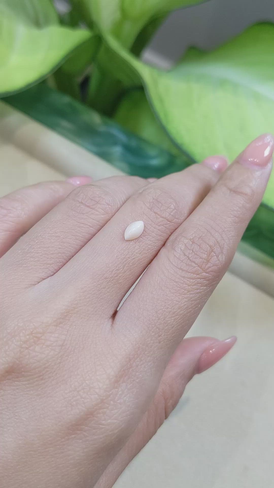 0.41 Ct. Cabochon Coral from Italy Size Video