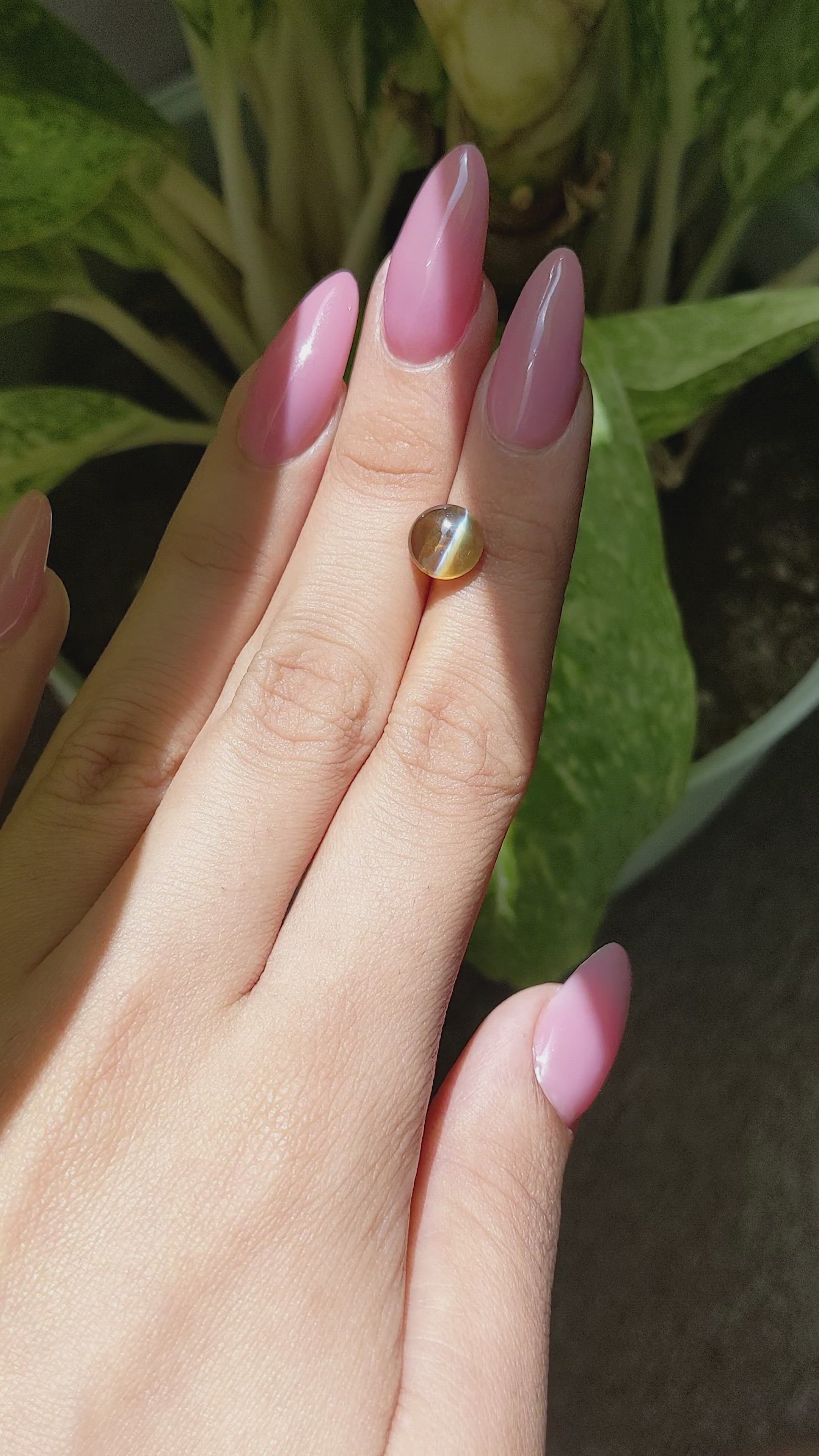3.32 Ct. Cabochon Chrysoberyl from Ceylon (Sri Lanka) Size Video