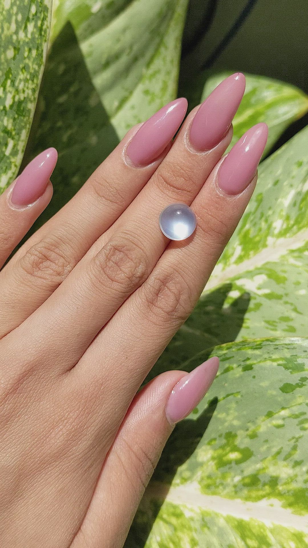 5.66 Ct. Cabochon Moonstone from Ceylon (Sri Lanka) Size Video
