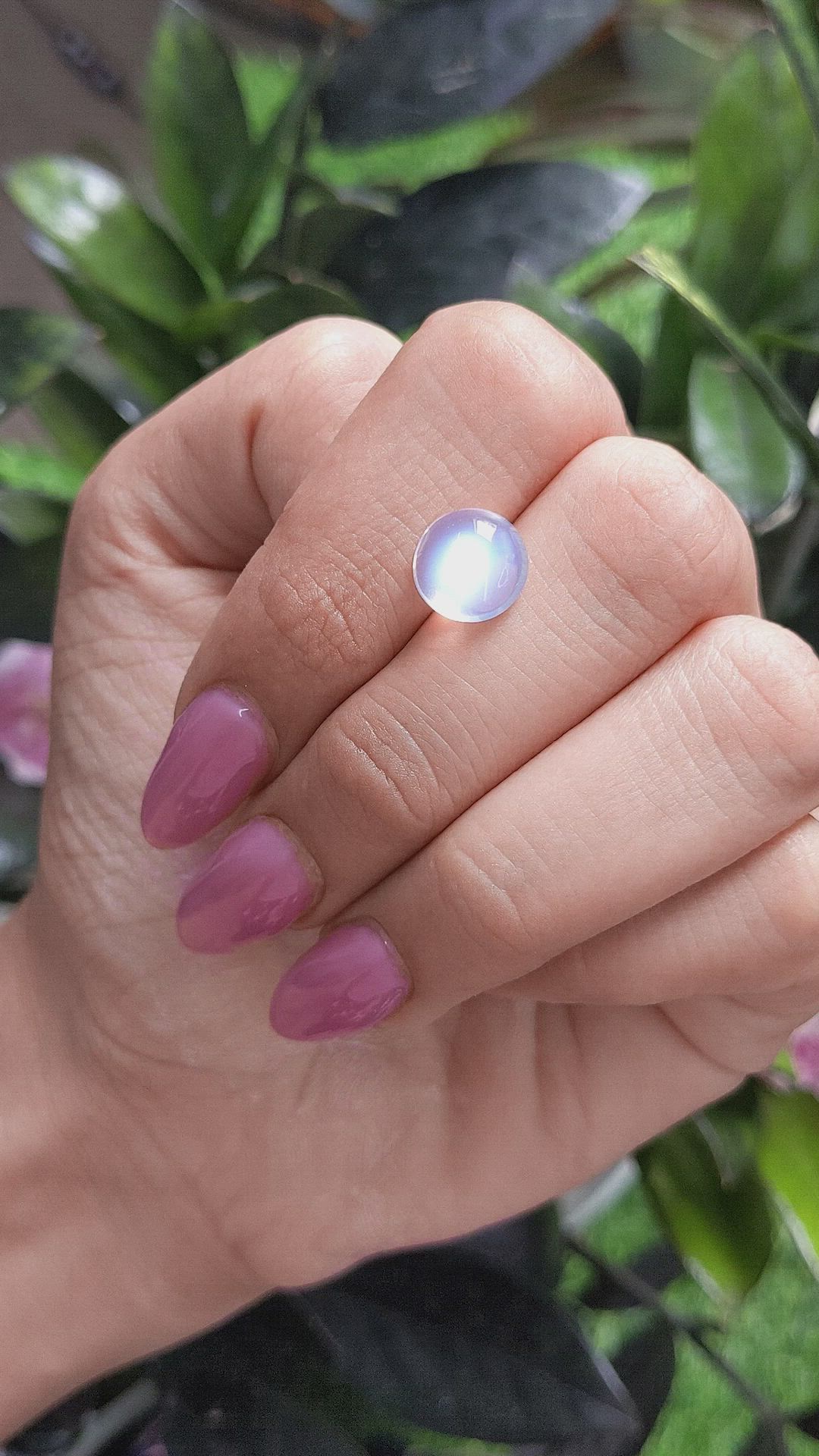 3.48 Ct. Cabochon Moonstone from Ceylon (Sri Lanka) Size Video