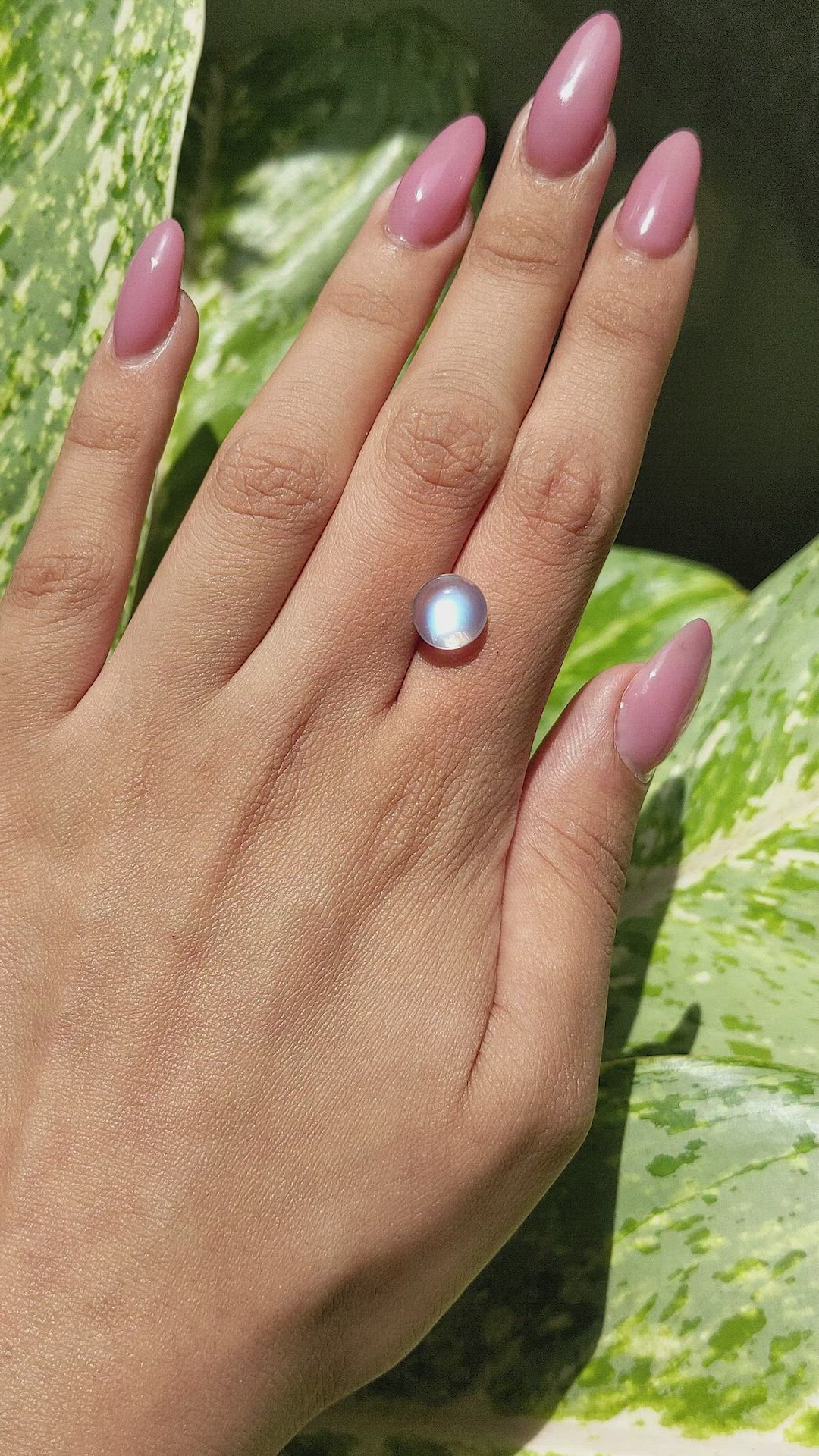 3.48 Ct. Cabochon Moonstone from Ceylon (Sri Lanka) Size Video