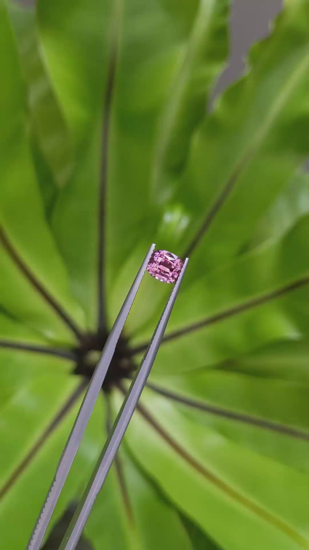 1.31 Ct. Spinel from Ceylon (Sri Lanka) Size Video