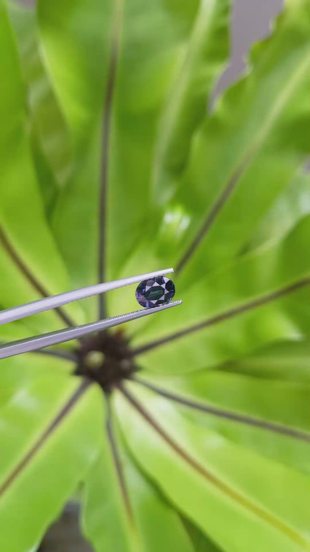 1.32 Ct. Spinel from Ceylon (Sri Lanka) Size Video