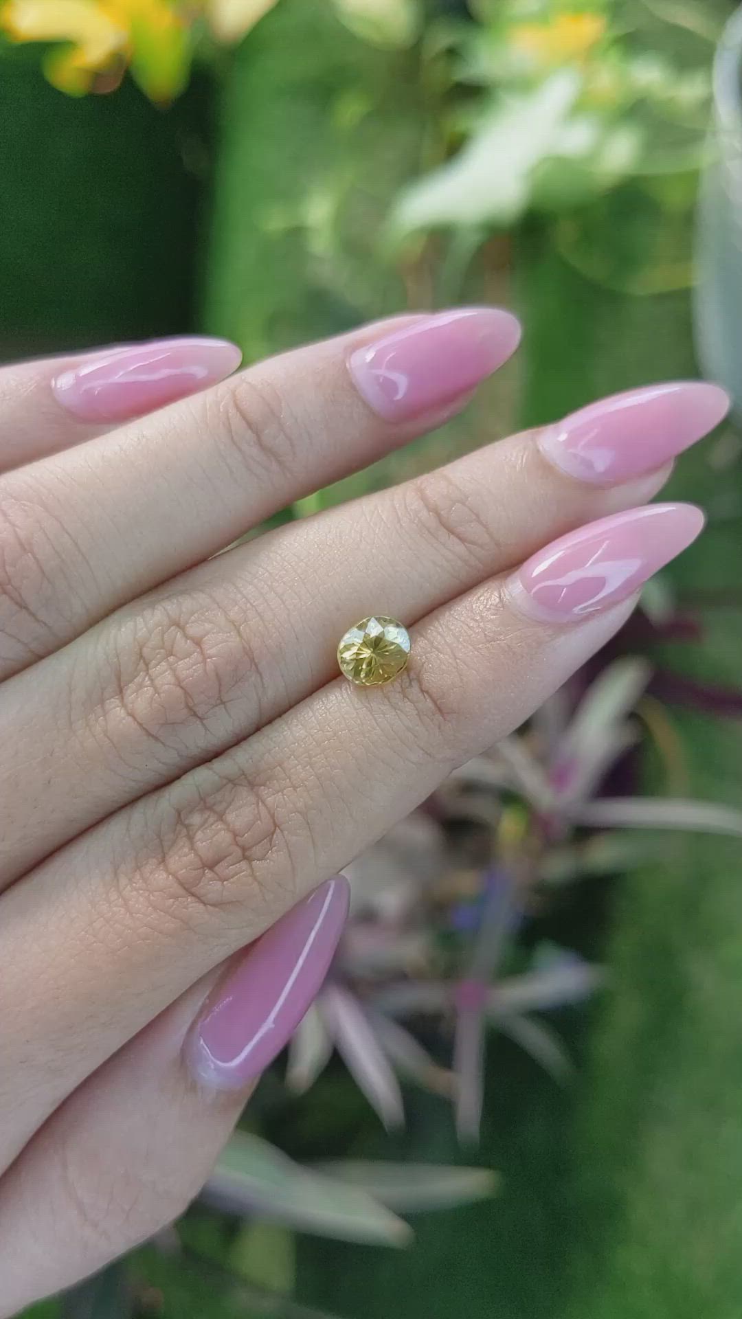 1.56 Ct. Zircon from Ceylon (Sri Lanka) Size Video