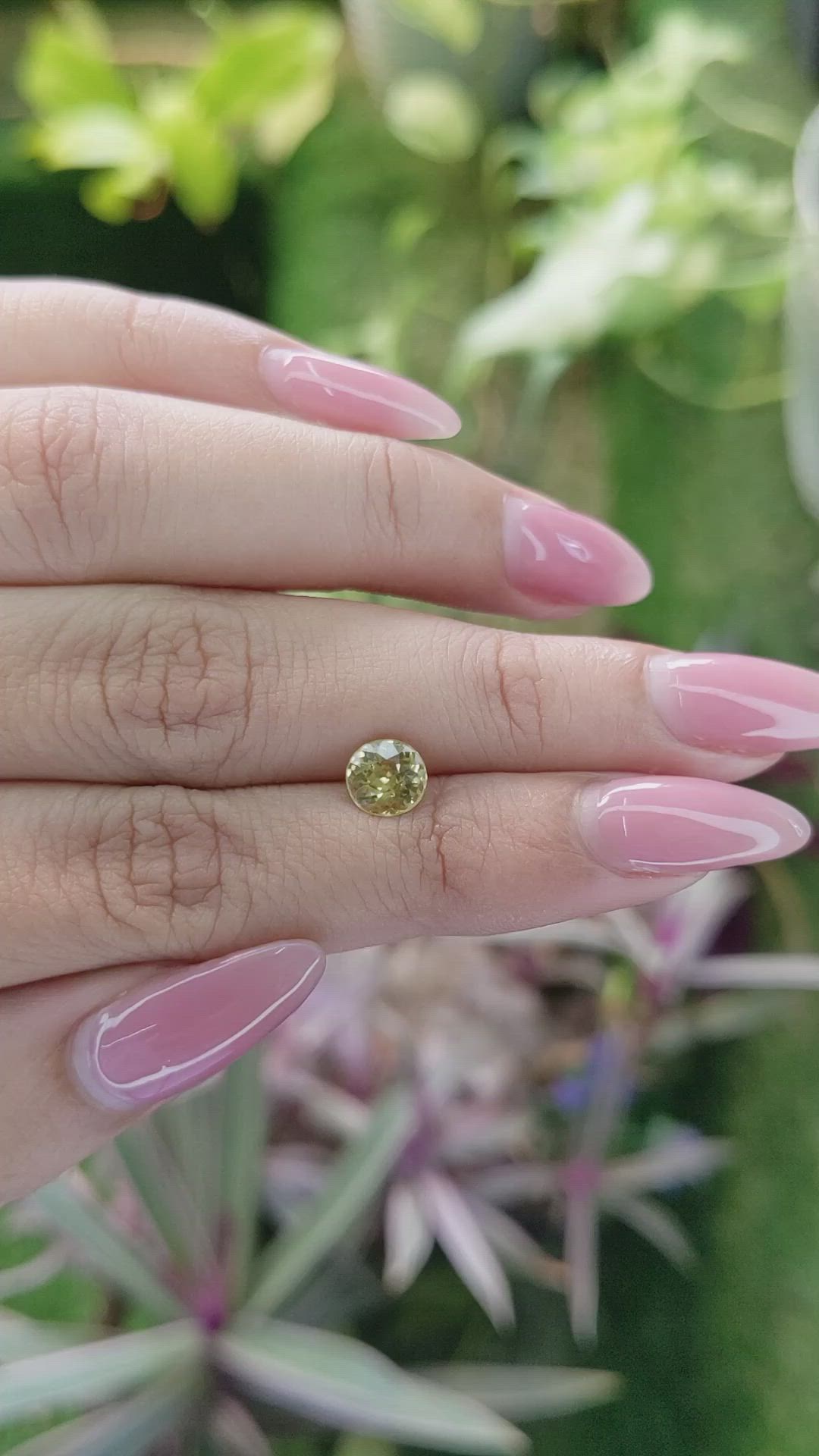 1.37 Ct. Zircon from Ceylon (Sri Lanka) Size Video