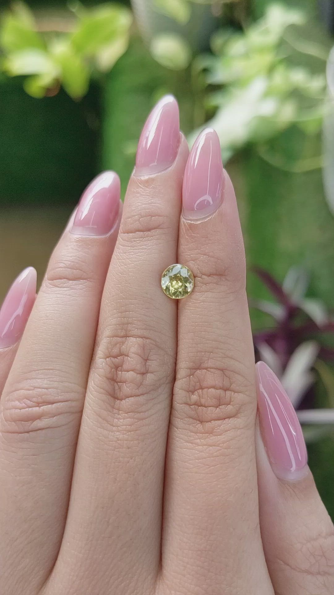 1.37 Ct. Zircon from Ceylon (Sri Lanka) Size Video