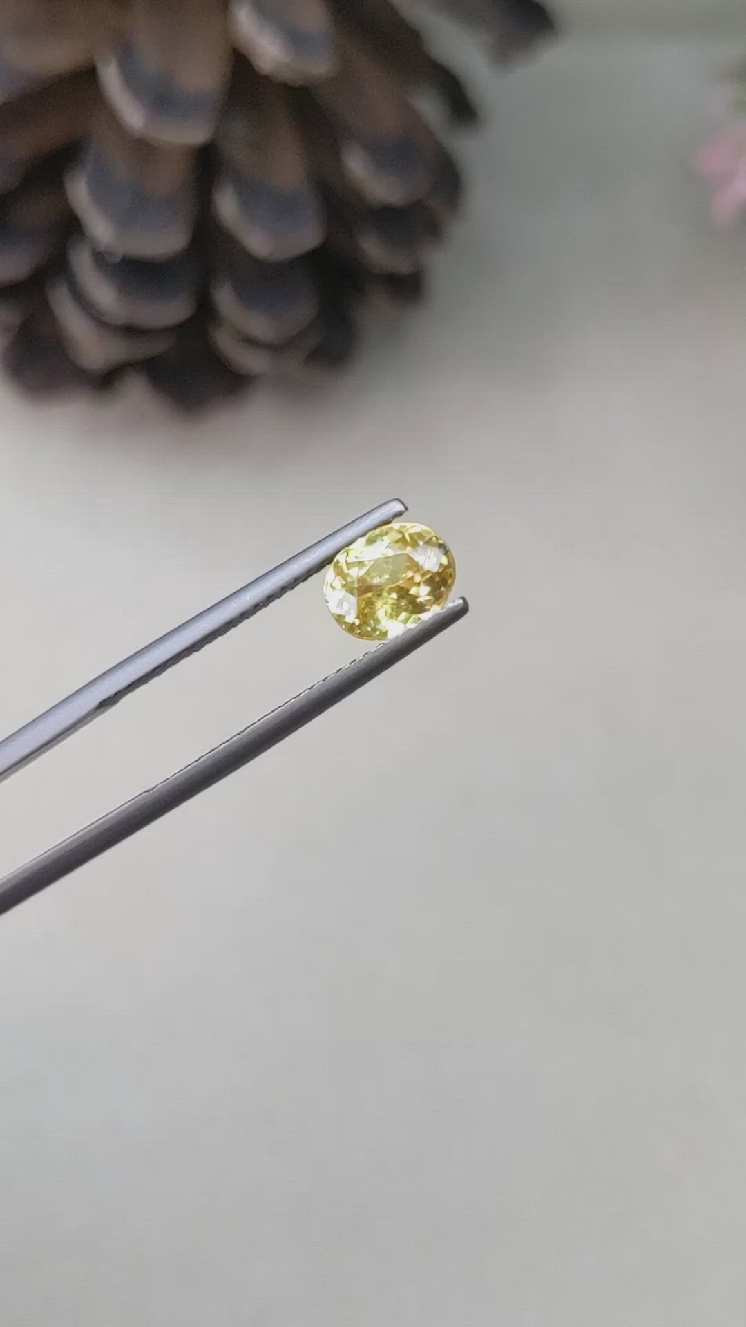 1.50 Ct. Zircon from Ceylon (Sri Lanka) Size Video