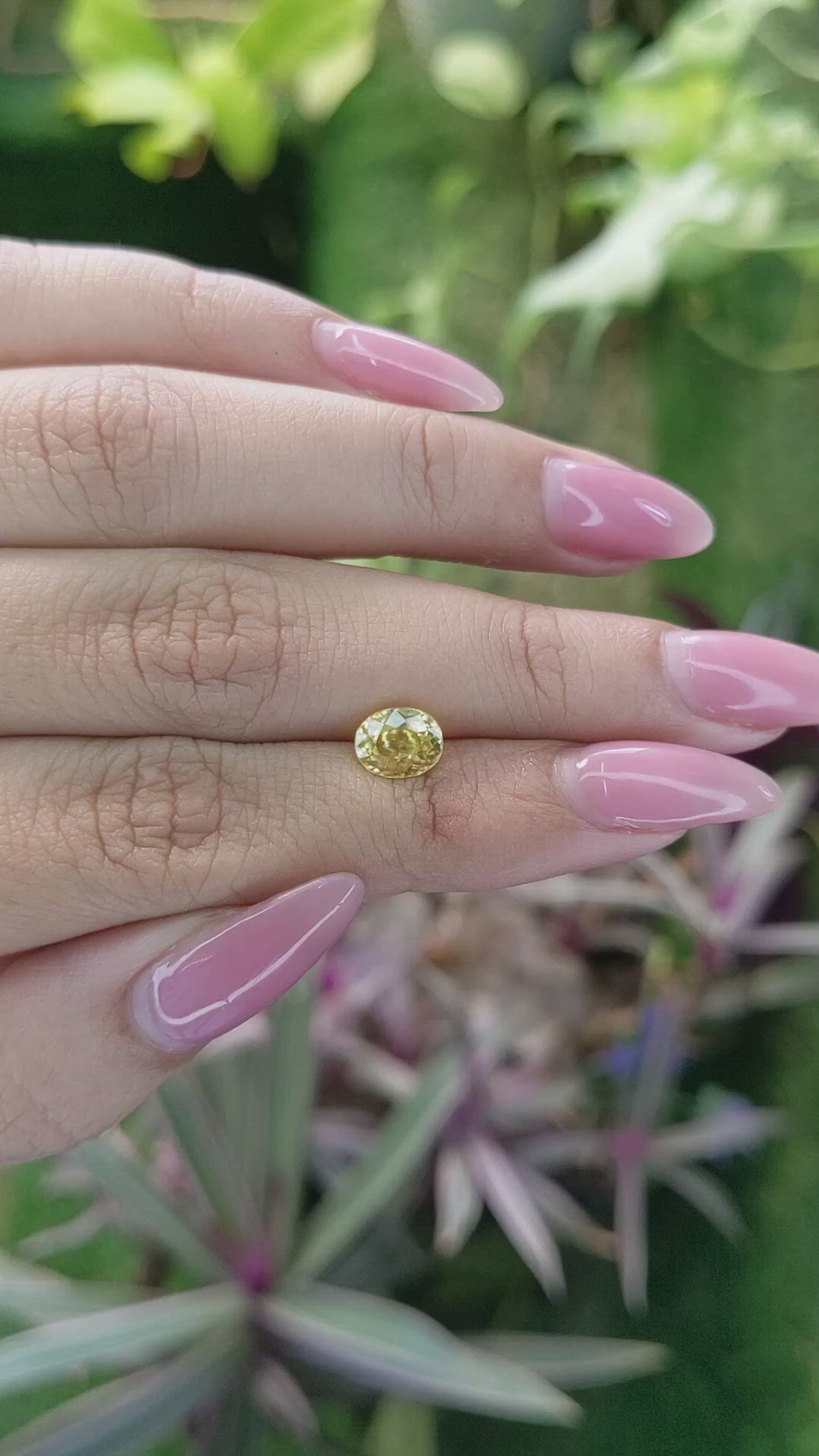 1.50 Ct. Zircon from Ceylon (Sri Lanka) Size Video