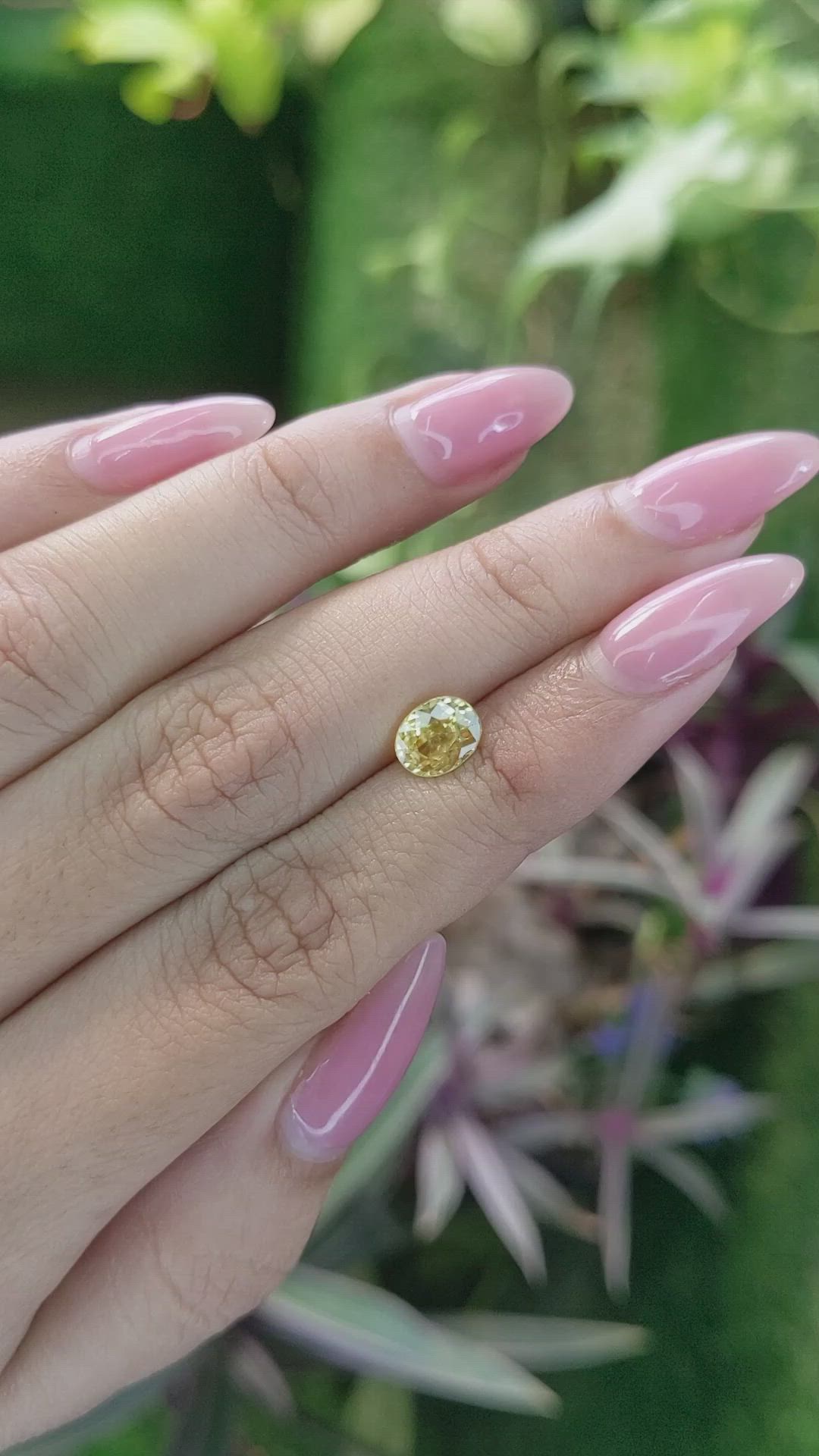 1.50 Ct. Zircon from Ceylon (Sri Lanka) Size Video