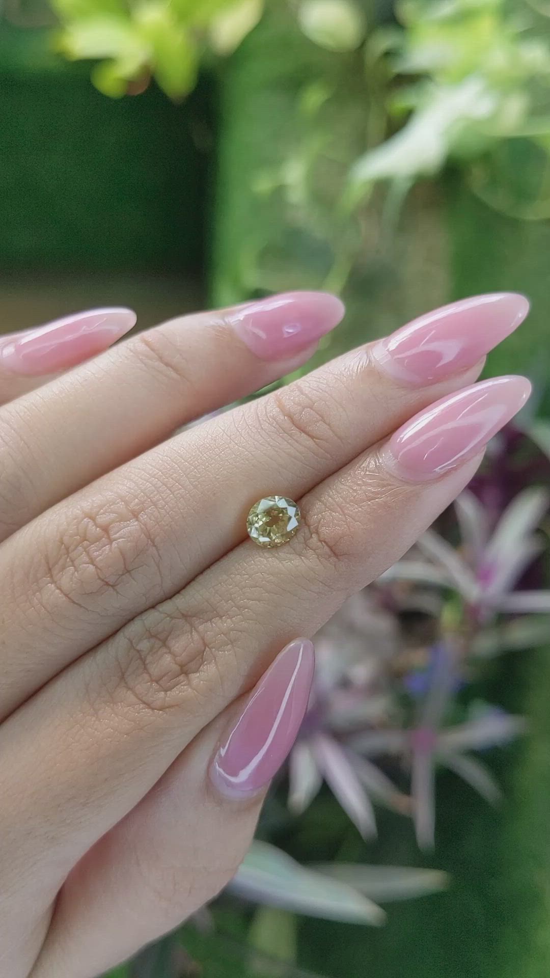 1.78 Ct. Zircon from Ceylon (Sri Lanka) Size Video