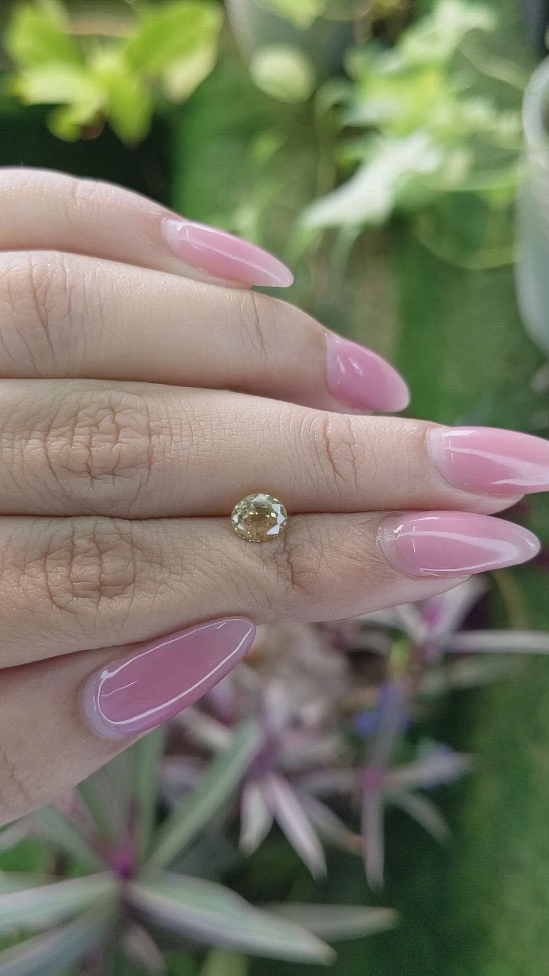 1.78 Ct. Zircon from Ceylon (Sri Lanka) Size Video