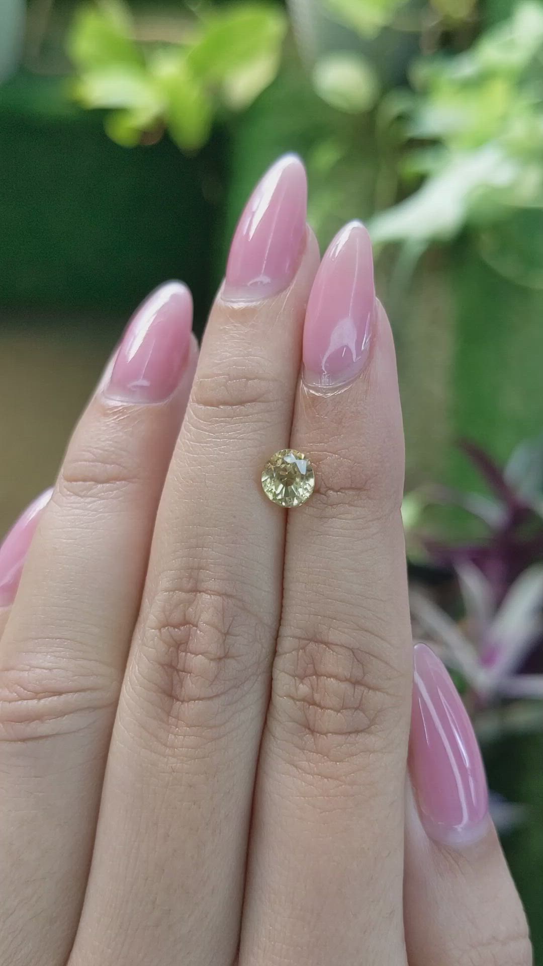 1.78 Ct. Zircon from Ceylon (Sri Lanka) Size Video