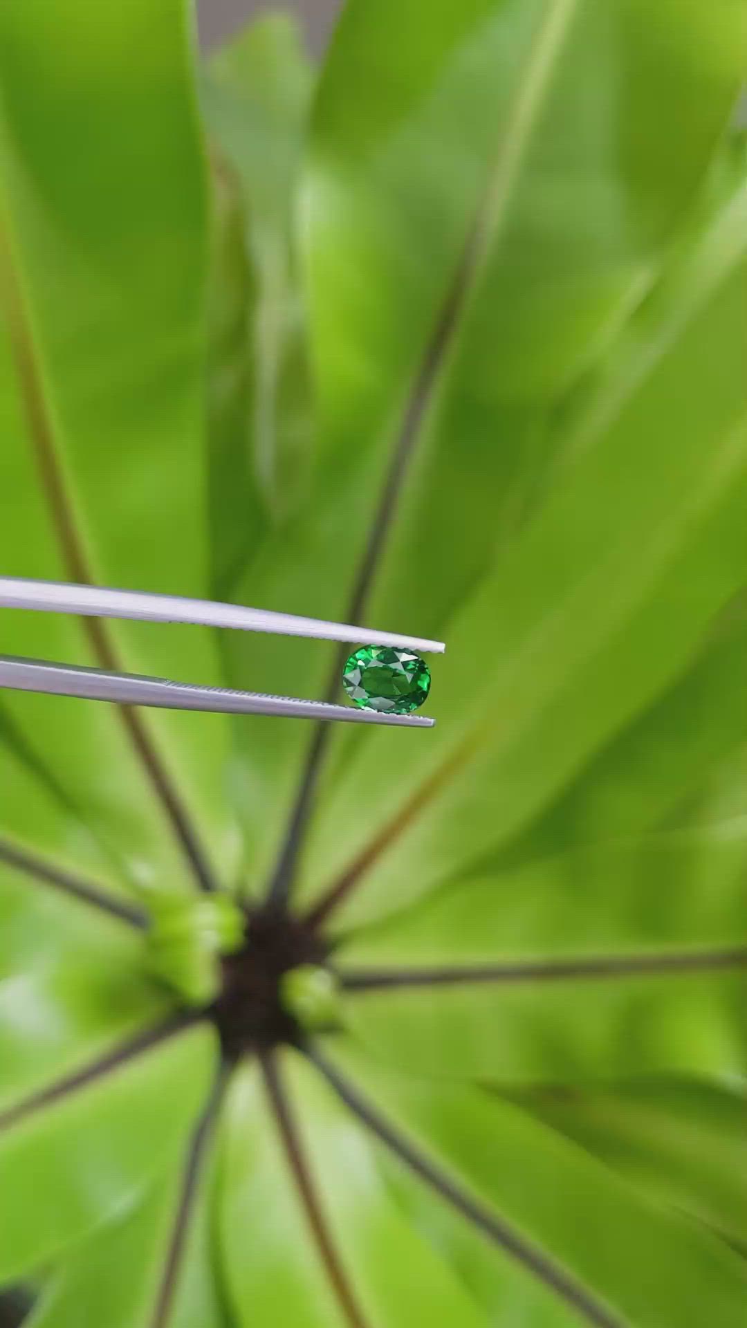 0.97 Ct. Tsavorite Garnet from East Africa Size Video