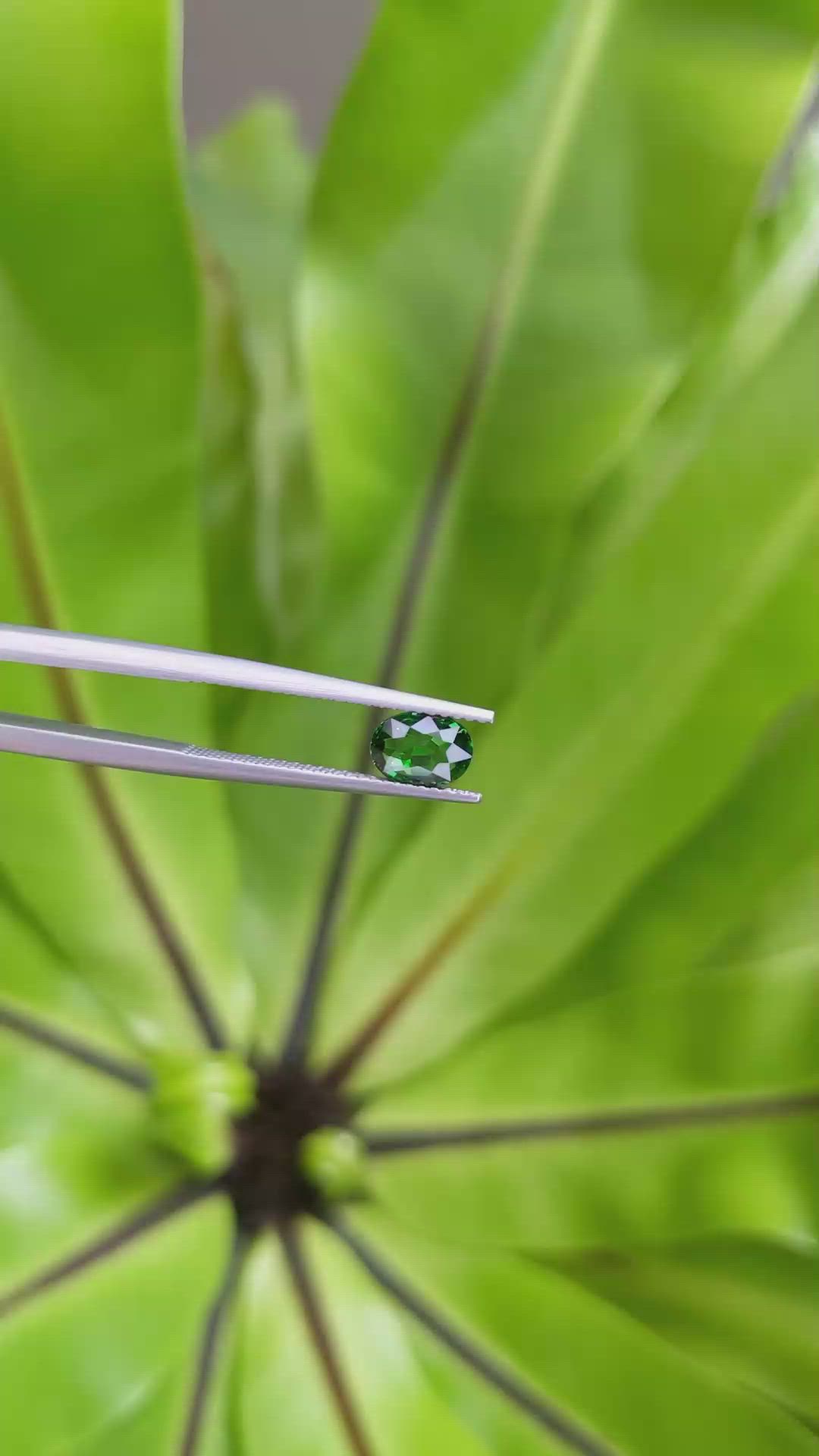 0.98 Ct. Tsavorite Garnet from East Africa Size Video