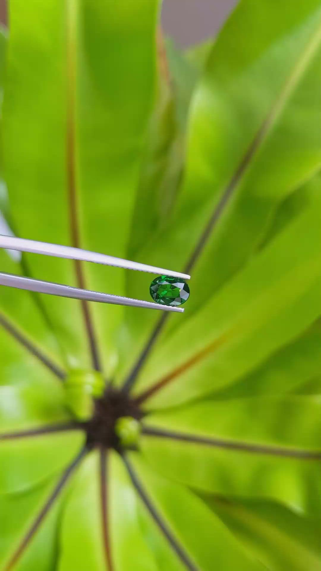 0.86 Ct. Tsavorite Garnet from East Africa Size Video