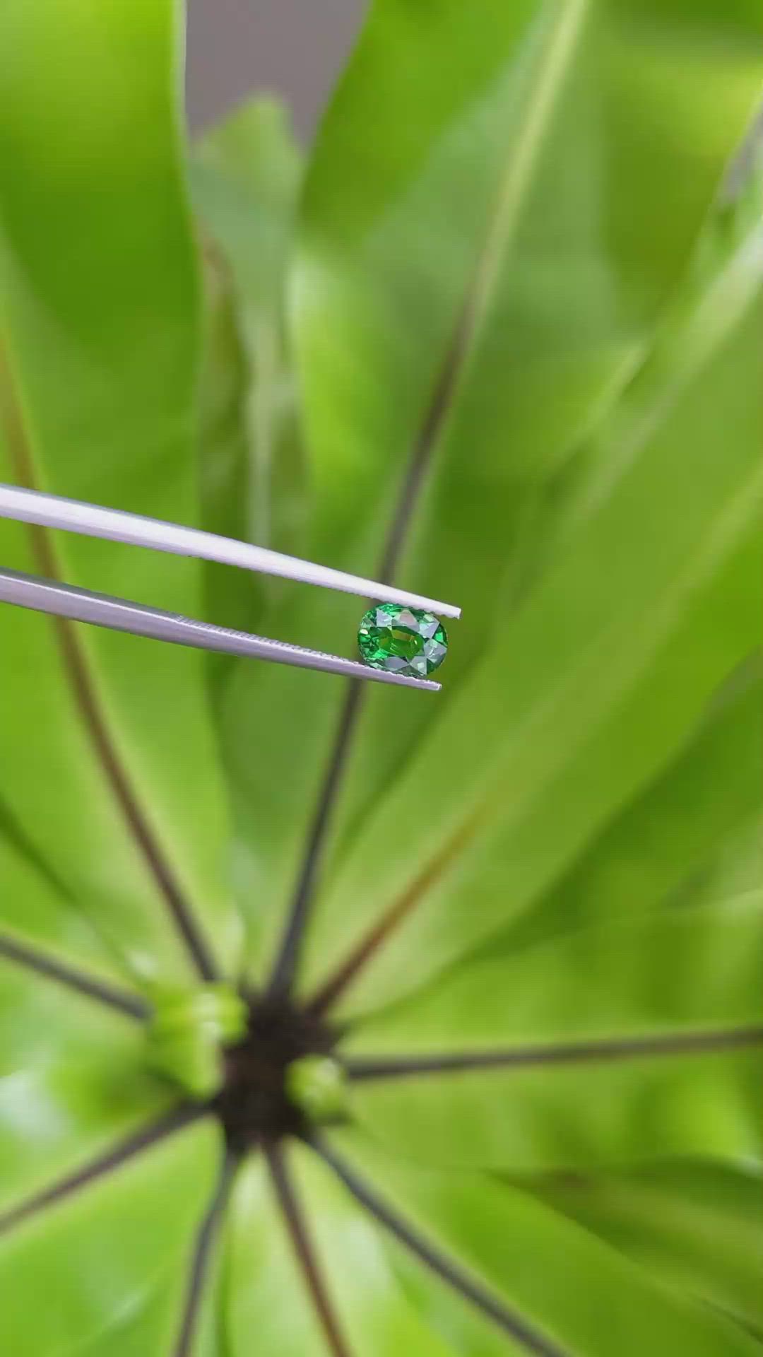 1.08 Ct. Tsavorite Garnet from East Africa Size Video