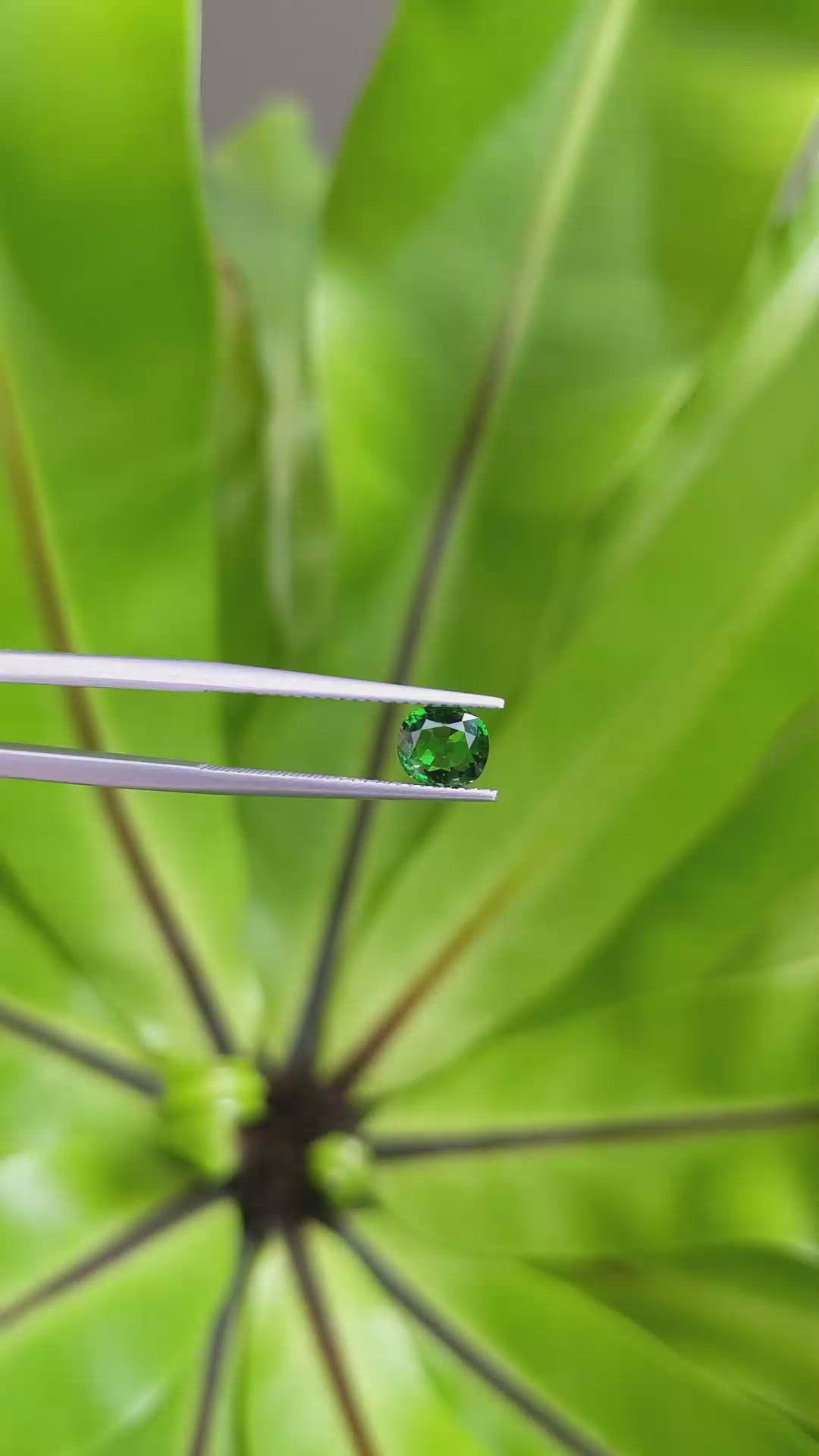 1.16 Ct. Tsavorite Garnet from East Africa Size Video