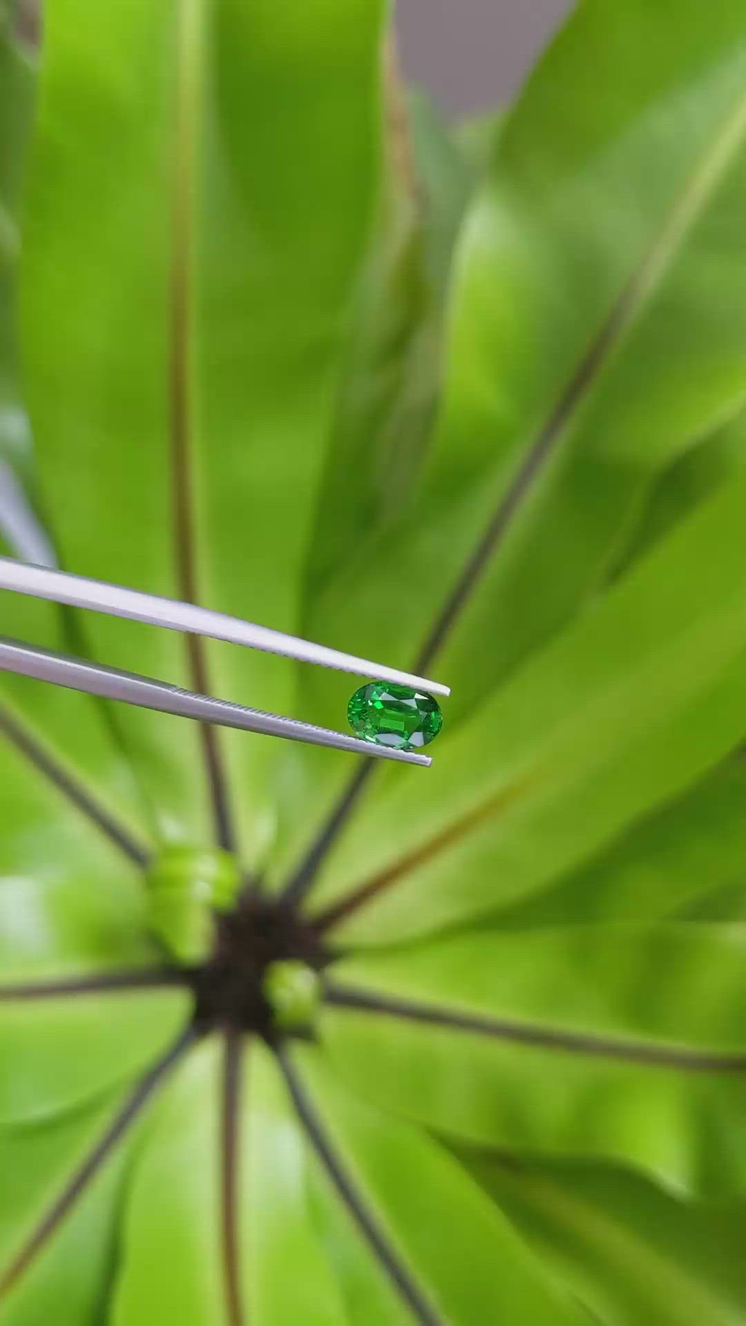 1.01 Ct. Tsavorite Garnet from East Africa Size Video