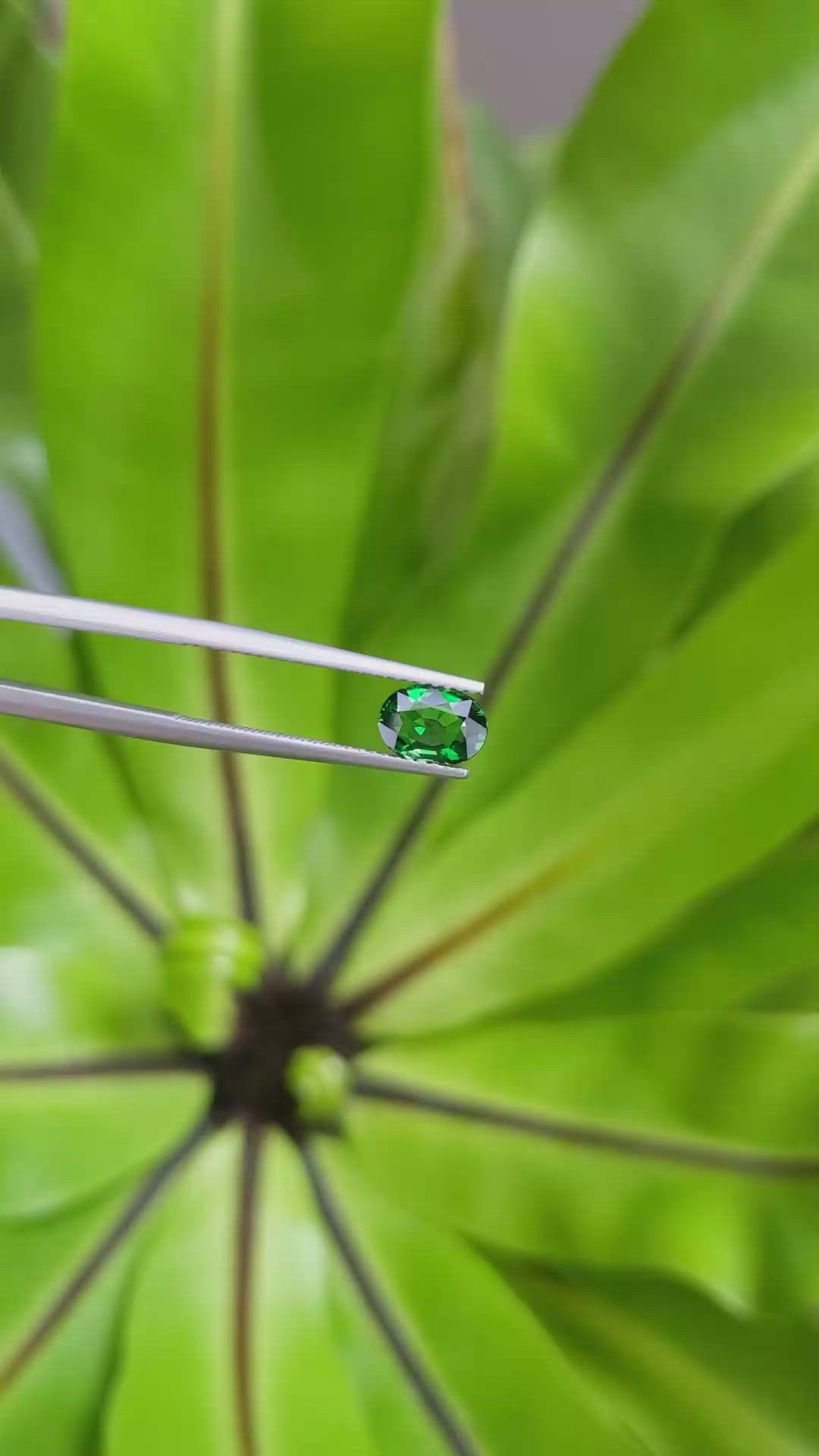 1.06 Ct. Tsavorite Garnet from East Africa Size Video